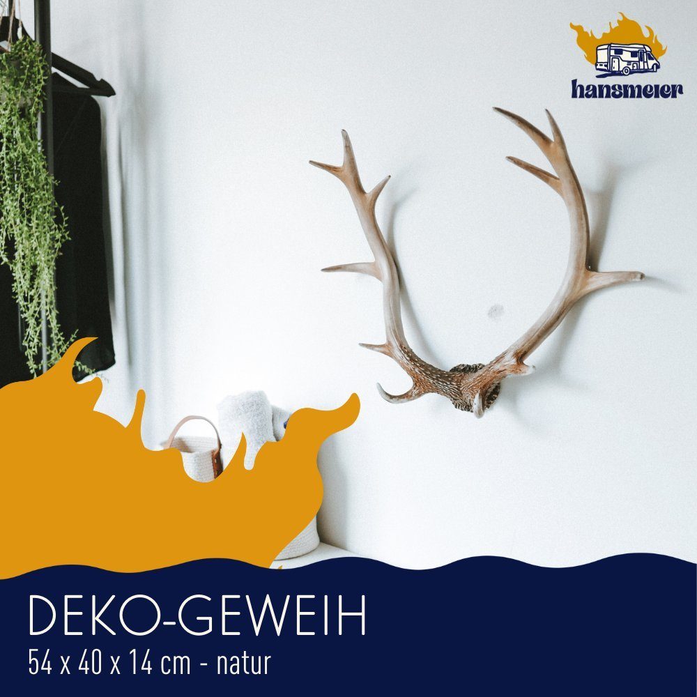 Hansmeier Wanddekoobjekt Geweih Rustikal, Für Innen & Außen Deko Hirschgewe günstig online kaufen
