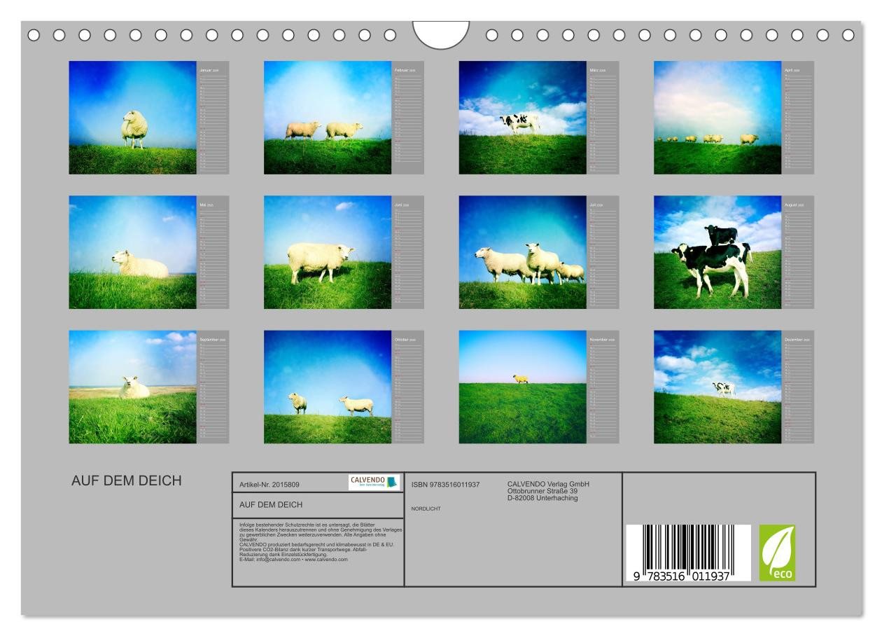 Thumbnail - CALVENDO Wandkalender AUF DEM DEICH (Wandkalender 2026 DIN A4 quer), CALVENDO Monatskalender