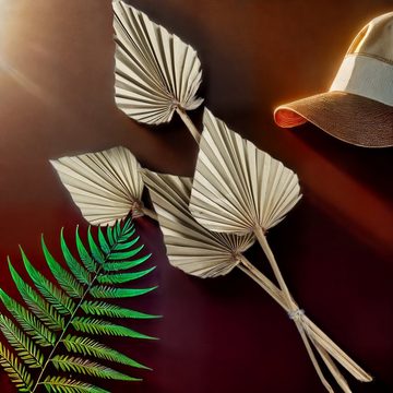 Trockenblume 4er Set Getrocknete Palmblätter 35cm - Natürliche Boho-Dekoration Palme, Marrakesch Orient & Mediterran Interior, 4er Set