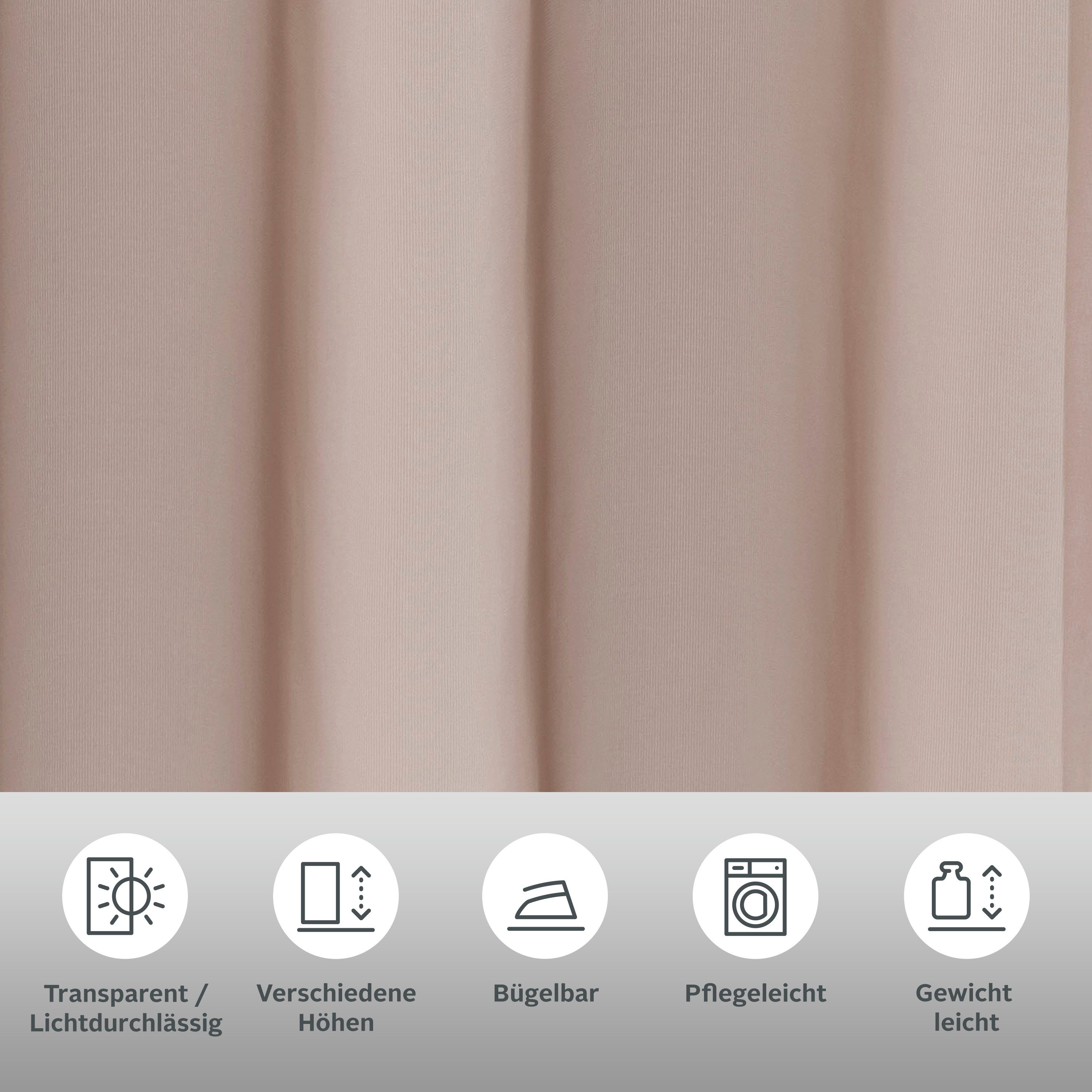 OTTO home Gardine XANA (1 St), Schlaufen, transparent, Voile, Bestseller, einfarbig, 1 bzw. 2 Schals, pflegeleicht, preiswert!