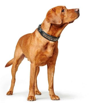 Hunter Tierbedarf Hunde-Halsband Arizona Up, Rindsleder