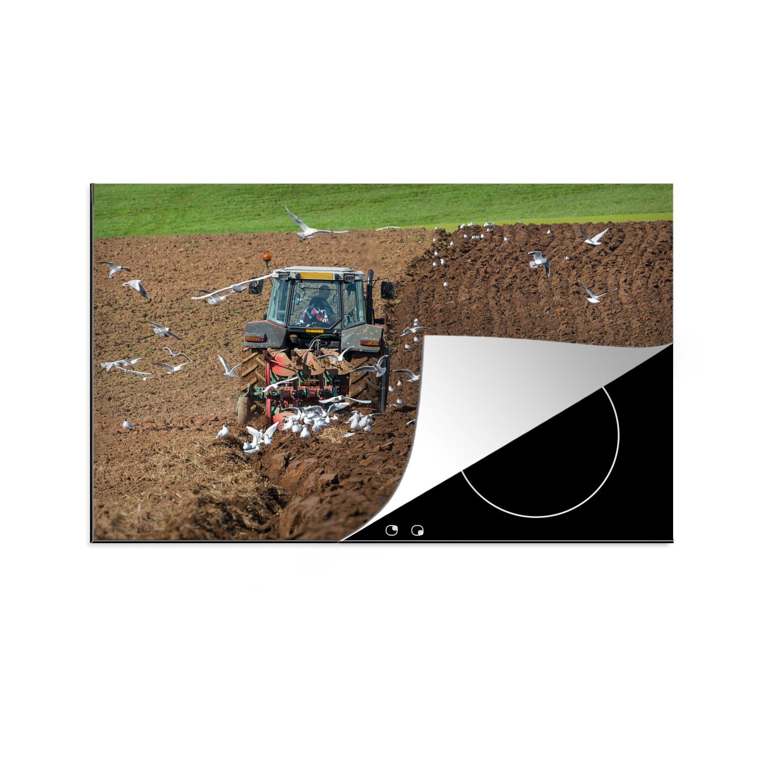 MuchoWow Herdblende-/Abdeckplatte Möwen folgen dem Traktor, während der Bauer das Land pflügt, Vinyl, (1 tlg), 81x52 cm, Induktionskochfeld Schutz für die küche, Ceranfeldabdeckung