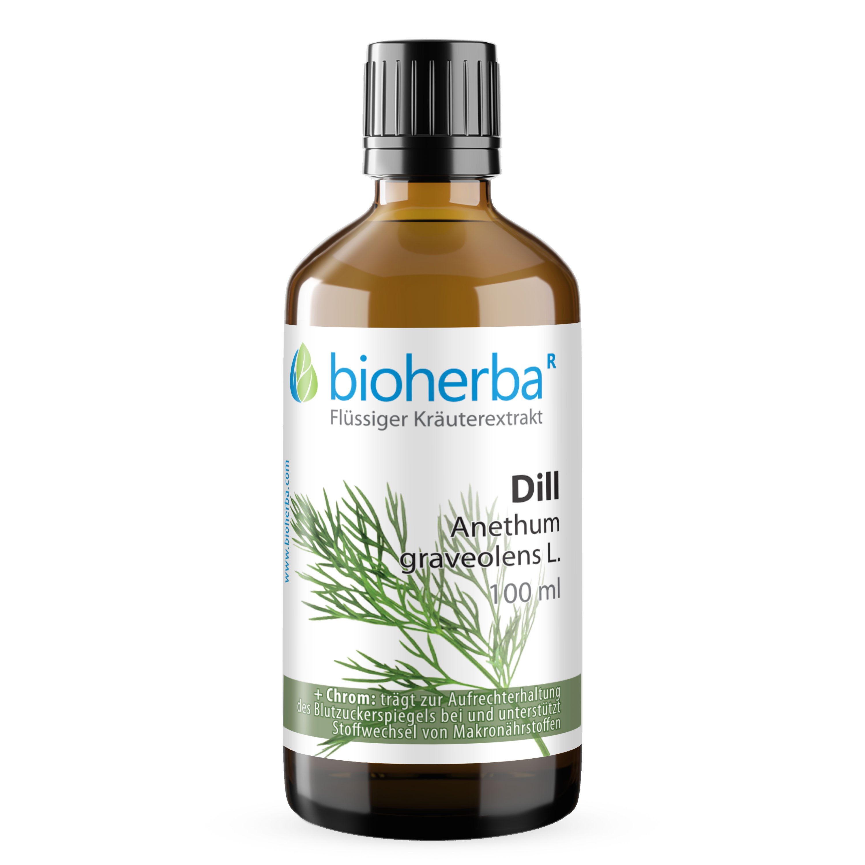 BIOHERBA R Bioherba Dill Anethum graveolens L. Tropfen Tinktur 100 ml Nahrungsergänzungsmittel, 1 er