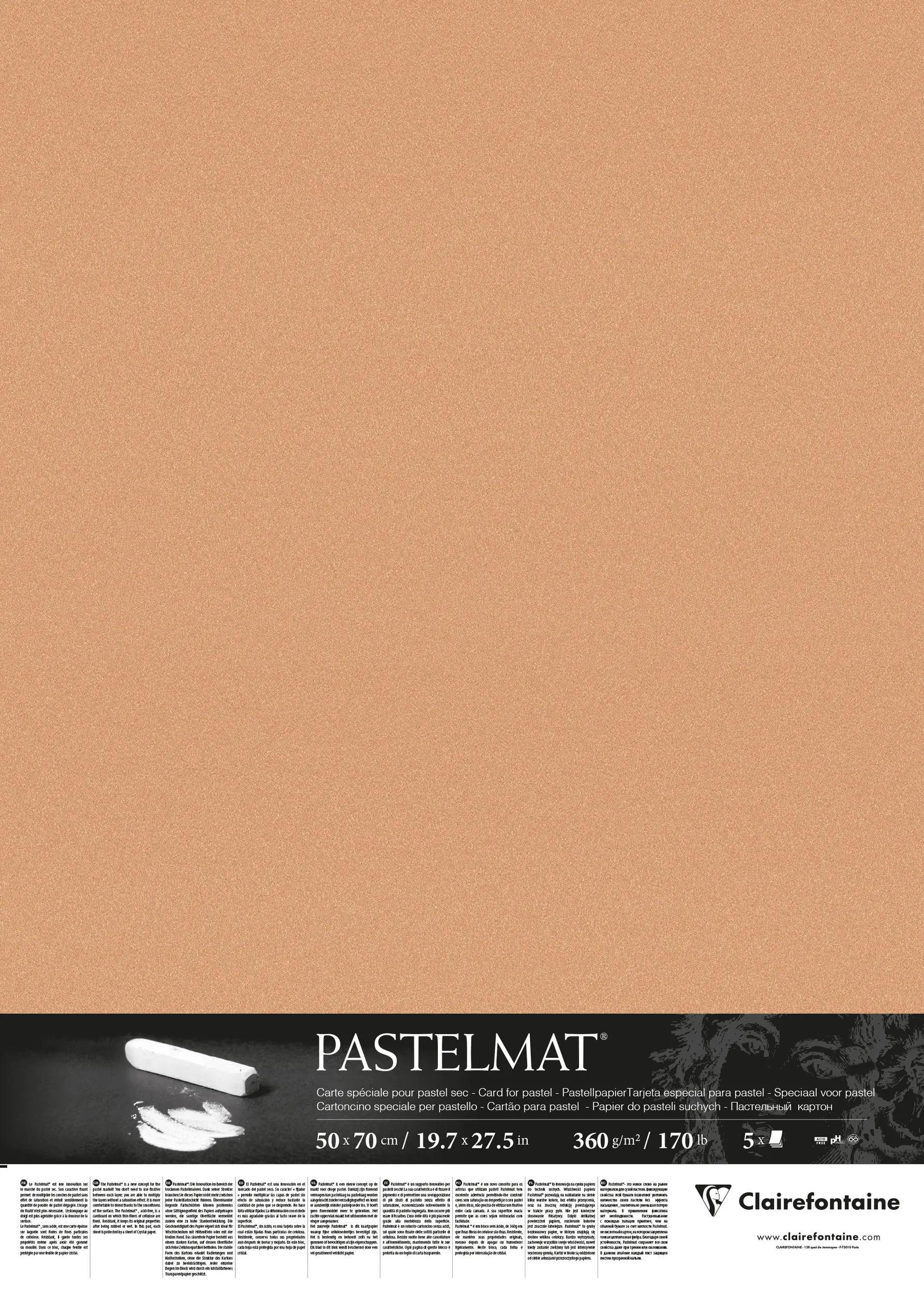 CLAIREFONTAINE Zeichenpapier Pastelmat Pastellmalerei, 5 Bogen 50x70 cm, 360g Siena 96012C, Kunst Clairefontaine