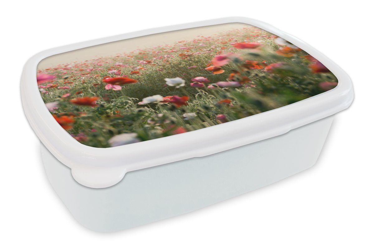 MuchoWow Lunchbox Mohn - Farben - Pastell, Kunststoff, (2-tlg), Brotbox für Kinder und Erwachsene, Brotdose, für Jungs und Mädchen weiß