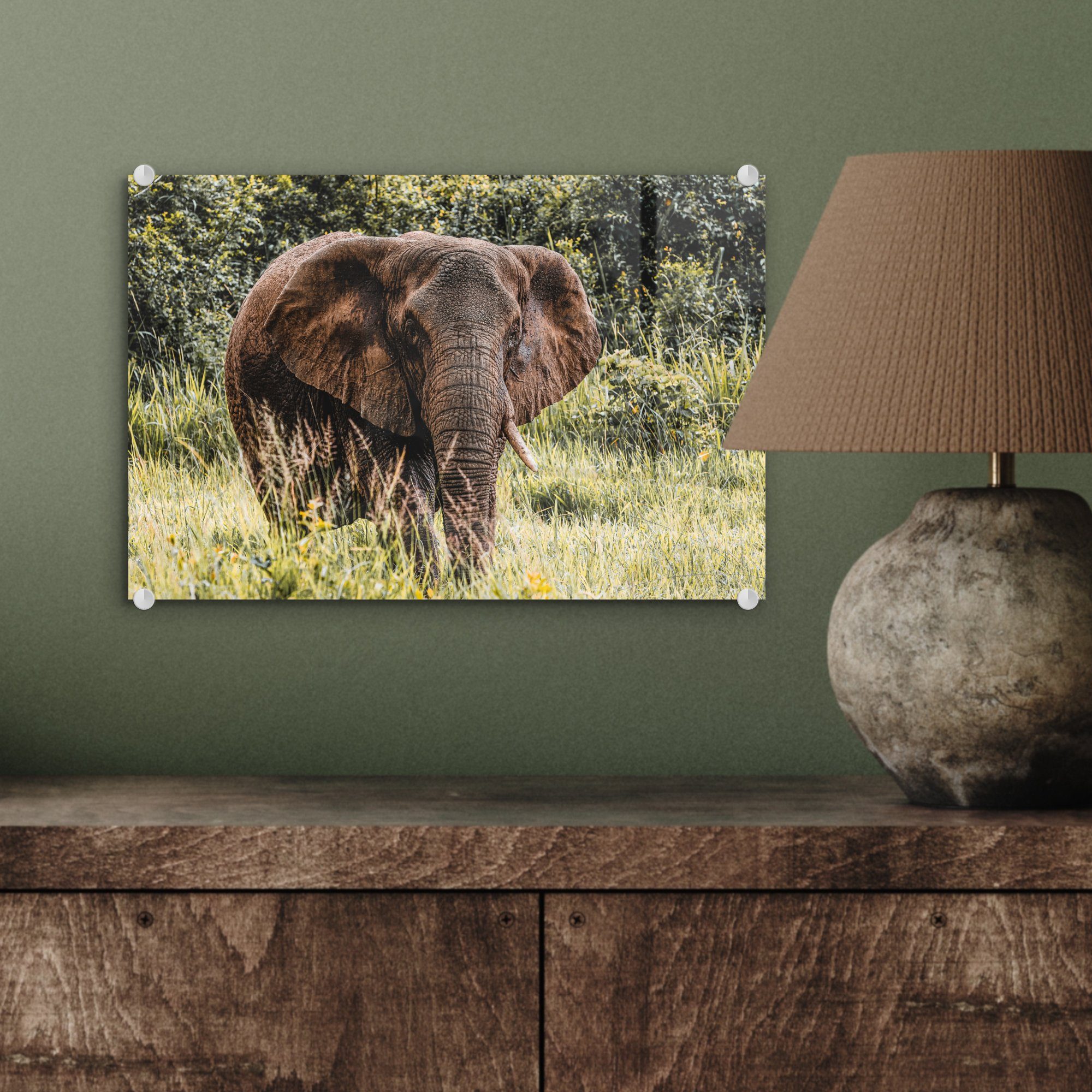 - Glasbilder - Gras, St), - (1 MuchoWow auf Natur auf Foto - Wandbild Bilder Glas Elefant - Wanddekoration Acrylglasbild Glas