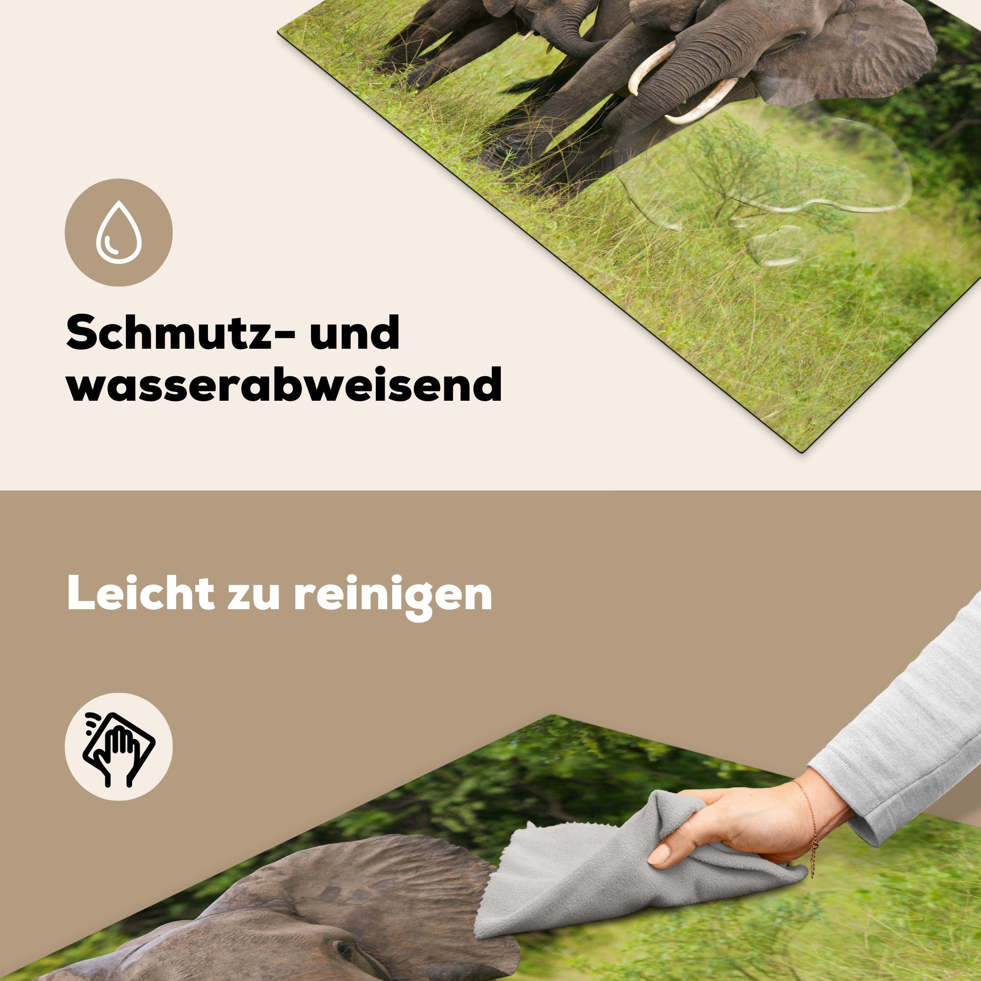 für Schutz Ceranfeldabdeckung Landschaft, Herdblende-/Abdeckplatte - - cm, die Kalb küche, Vinyl, Elefant Induktionskochfeld (1 tlg), 81x52 MuchoWow