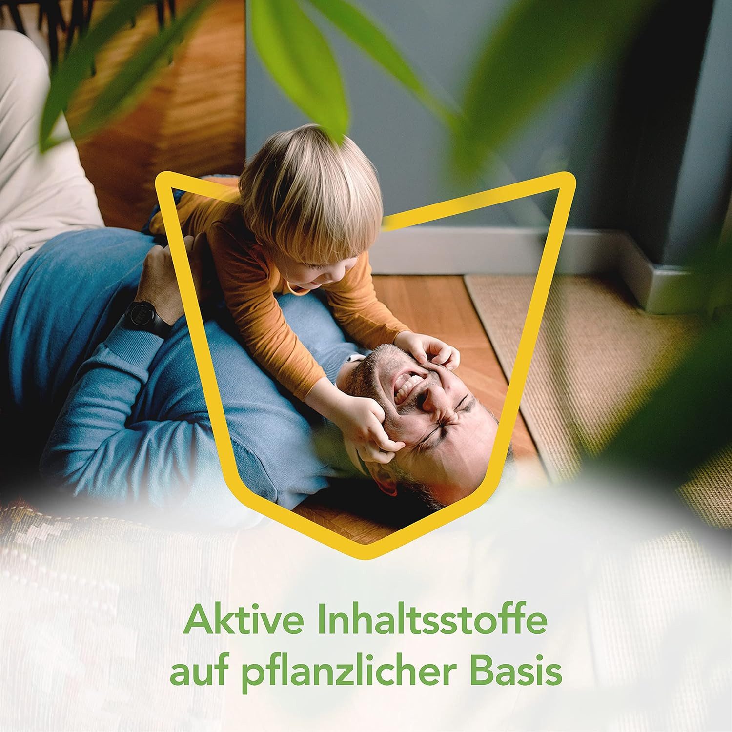Raid Insektenspray Freeze Spray, Aerosol frei gegen kriechende Insekten, 350ml, 1-St.