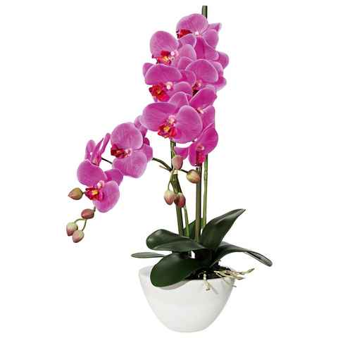 Kunstpflanze Orchidee Orchidee, Creativ green, Höhe 50 cm
