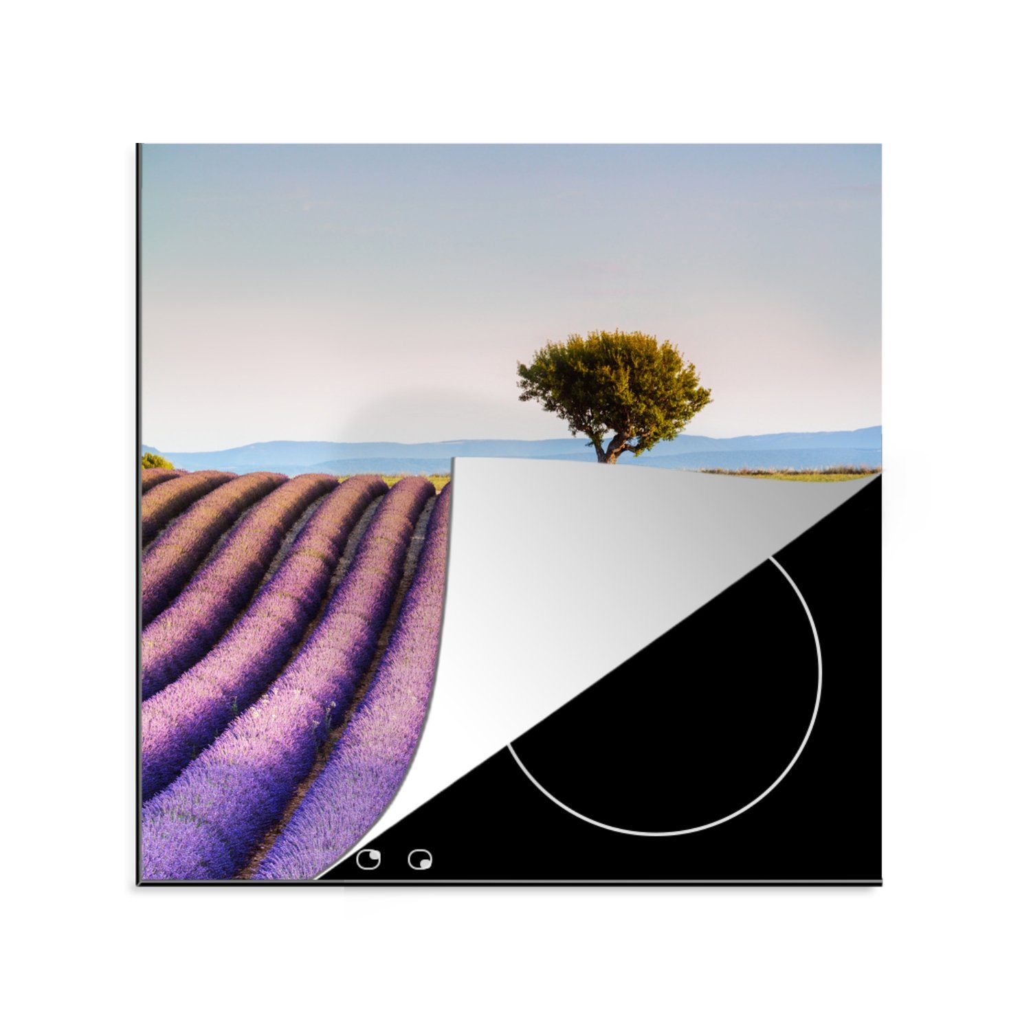MuchoWow Herdblende-/Abdeckplatte Frankreich - Lavendel - Baum, Vinyl, (1 tlg), 78x78 cm, Ceranfeldabdeckung, Arbeitsplatte für küche