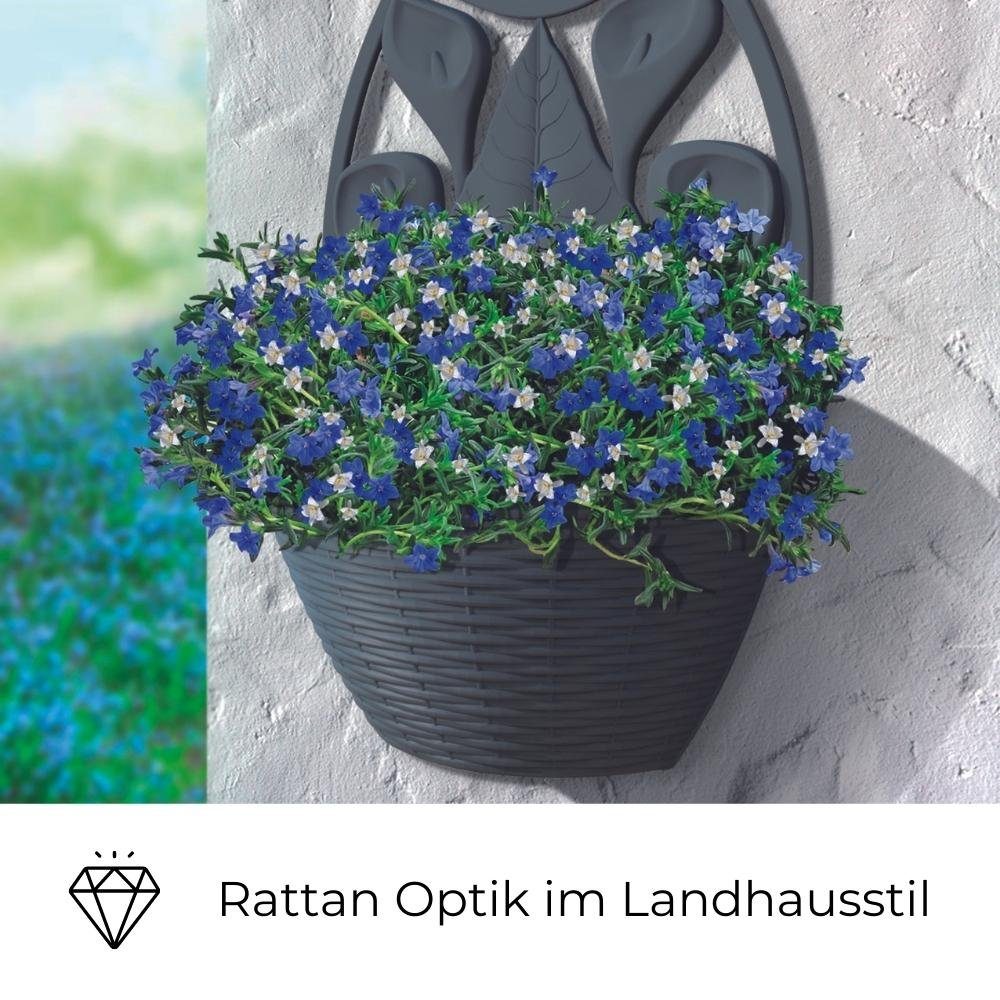 Rattan Topf Wandampel Wand Gefäß anthrazit GarPet Blumentopf Wandgefäß Pflanz Optik Blumentopf
