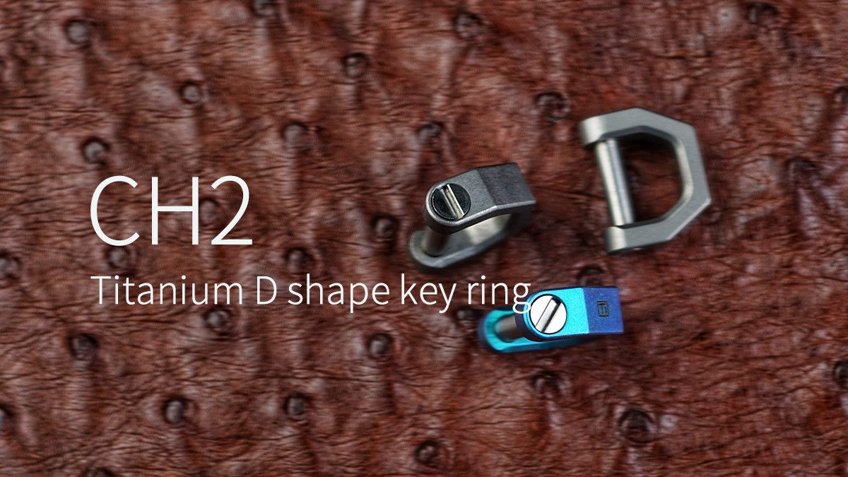 MecArmy Karabiner CH2 - S Titanium D shape key ring Größe 10mm, (1 St)