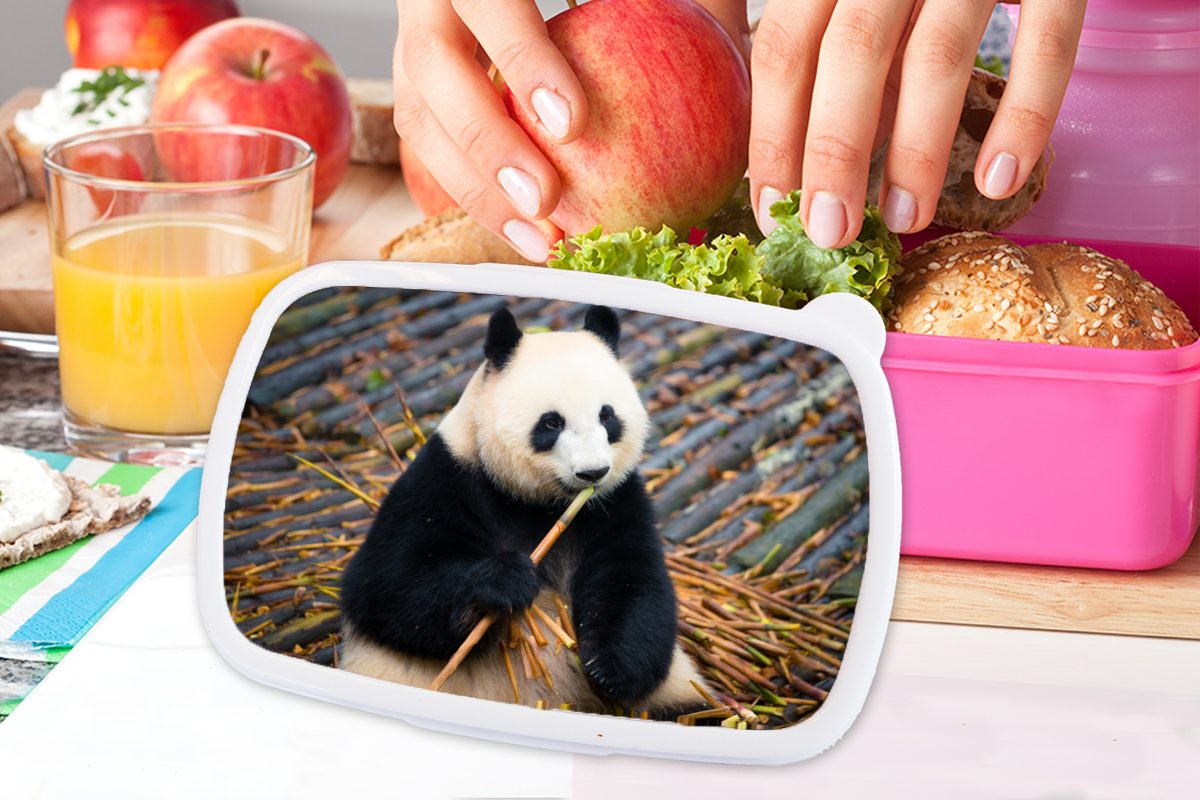 Brotdose Bambus Mädchen, Brotbox Snackbox, Erwachsene, Lunchbox Kunststoff MuchoWow Blätter, Kinder, rosa Kunststoff, (2-tlg), für Panda - - Großer