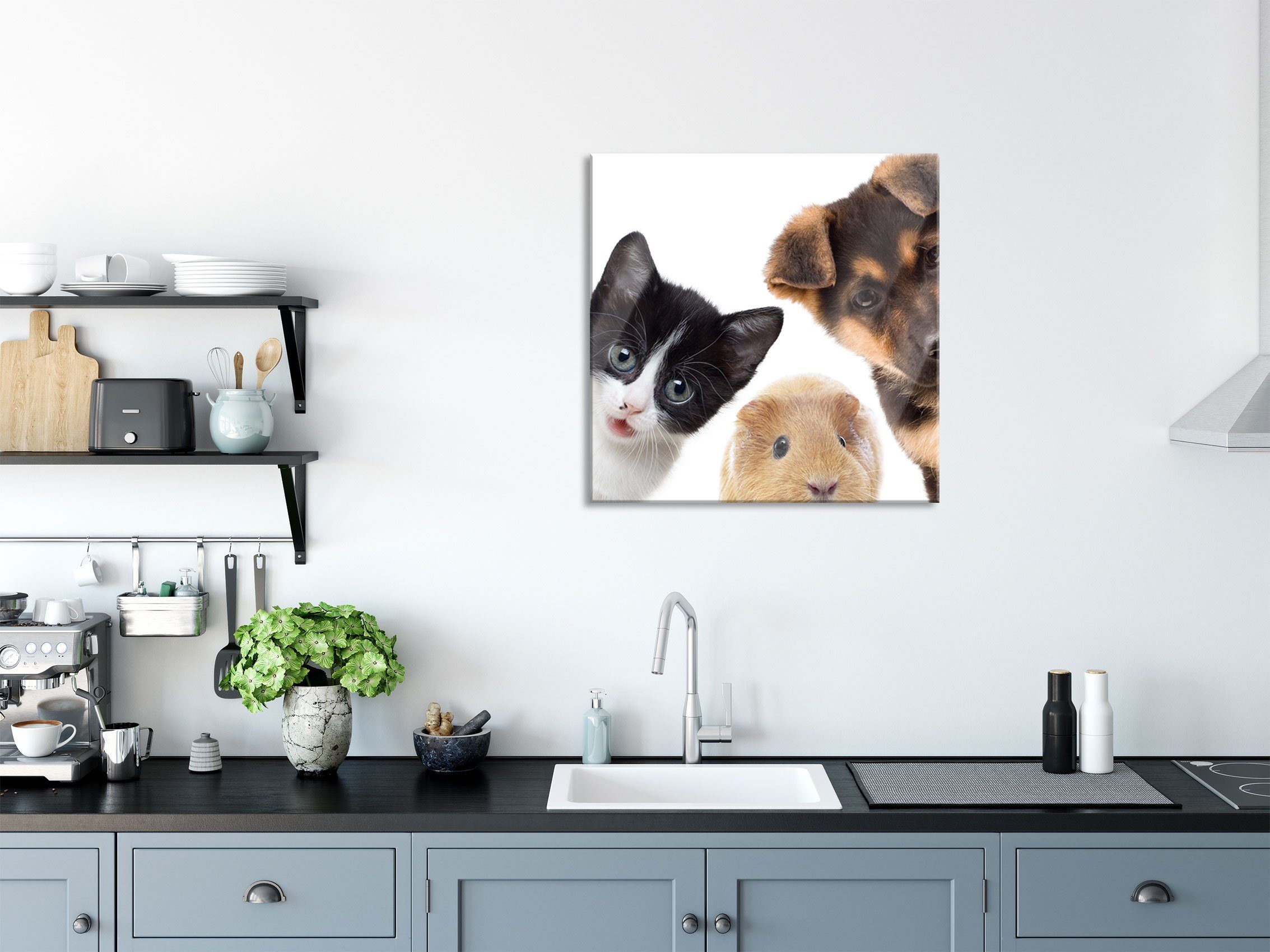 Hund Glasbild Aufhängungen Meerschwein St), und Echtglas, Pixxprint Hund Trio Glasbild aus Katze Trio Meerschwein, Abstandshalter inkl. Katze (1