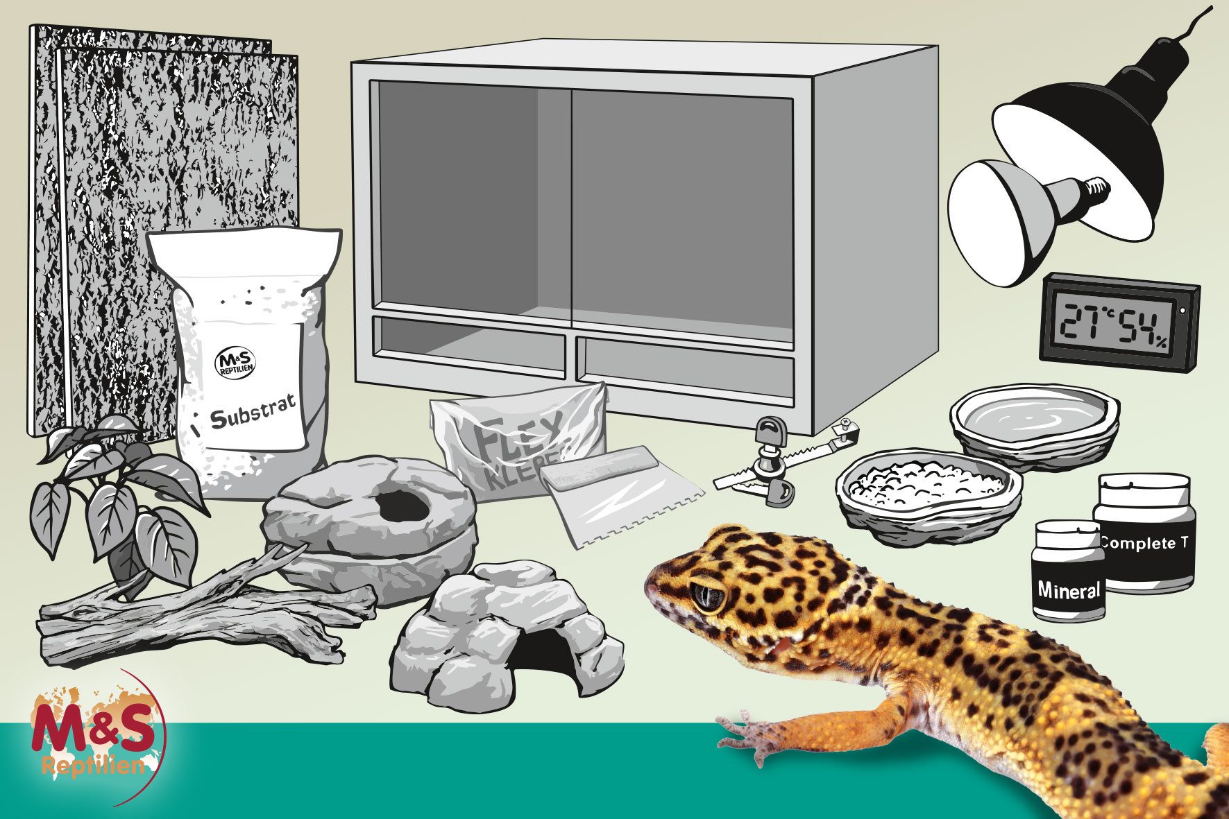 M&S Reptilien Terrarium Komplettset: Für Leopardgeckos (ca. 100 cm Länge)