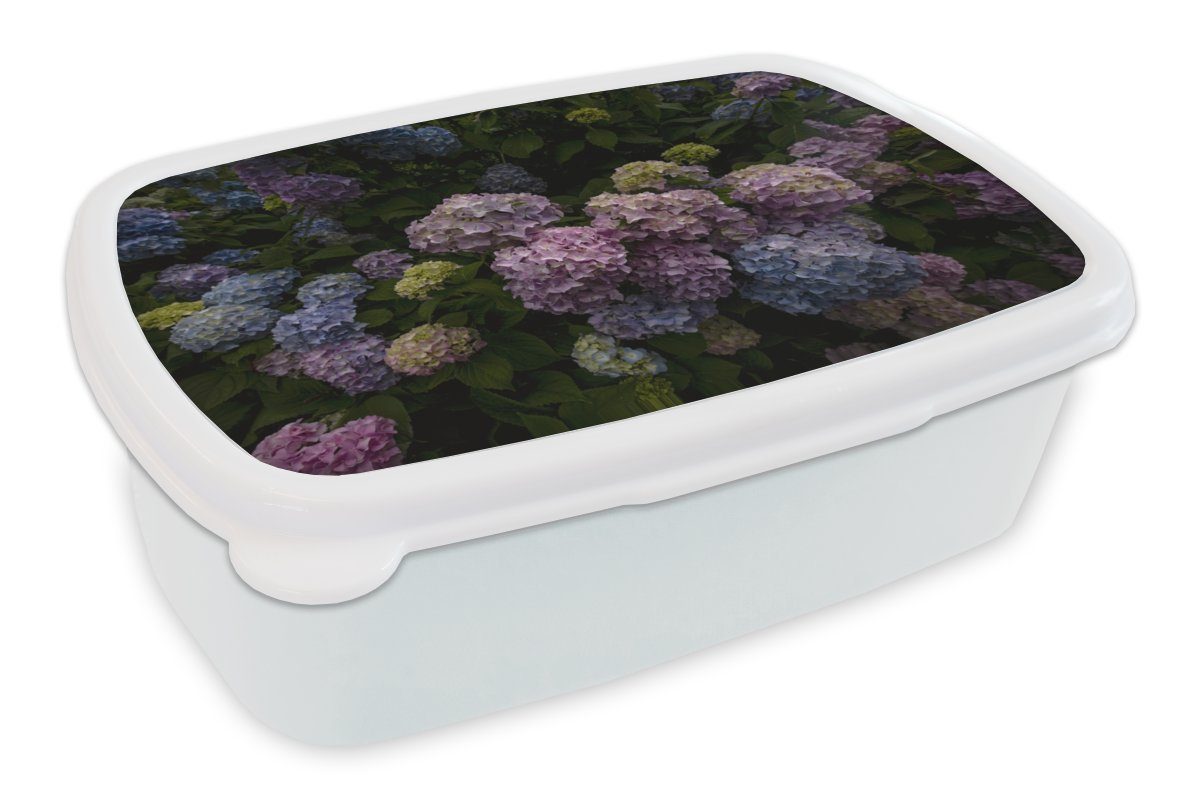 MuchoWow Lunchbox Blühende Hortensiensträucher im Garten, Kunststoff, (2-tlg), Brotbox für Kinder und Erwachsene, Brotdose, für Jungs und Mädchen weiß