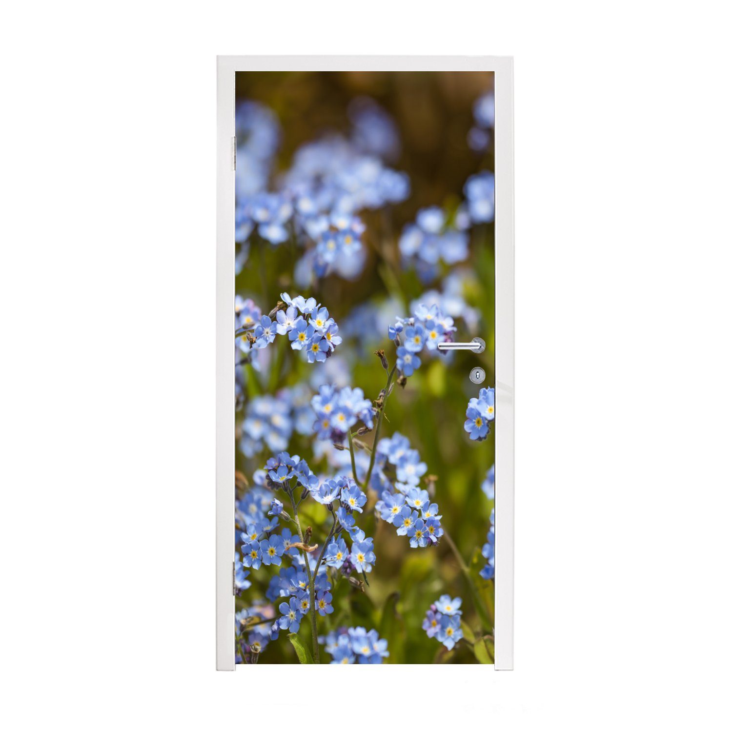 Türtapete bedruckt, von MuchoWow 75x205 Fototapete für Tür, Matt, (1 St), Vergissmeinnicht, cm blauen Türaufkleber, Gruppe