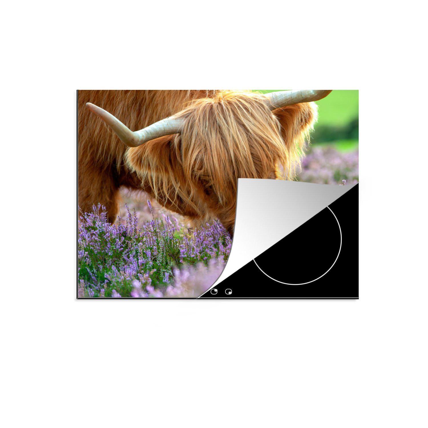 MuchoWow Herdblende-/Abdeckplatte Schottische Highlander - Gras - Heidekraut - Tiere, Vinyl, (1 tlg), 59x52 cm, Ceranfeldabdeckung für die küche, Induktionsmatte