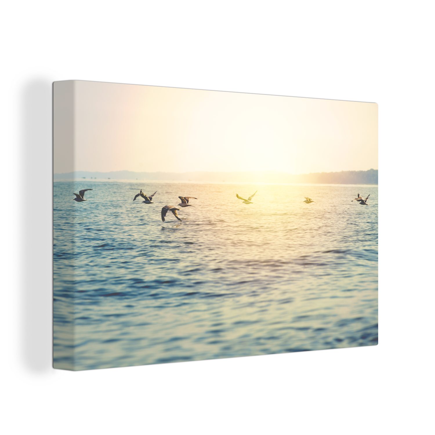 OneMillionCanvasses® Leinwandbild Meer - Möwe - Sonne, (1 St), Wandbild Leinwandbilder, Aufhängefertig, Wanddeko, 30x20 cm