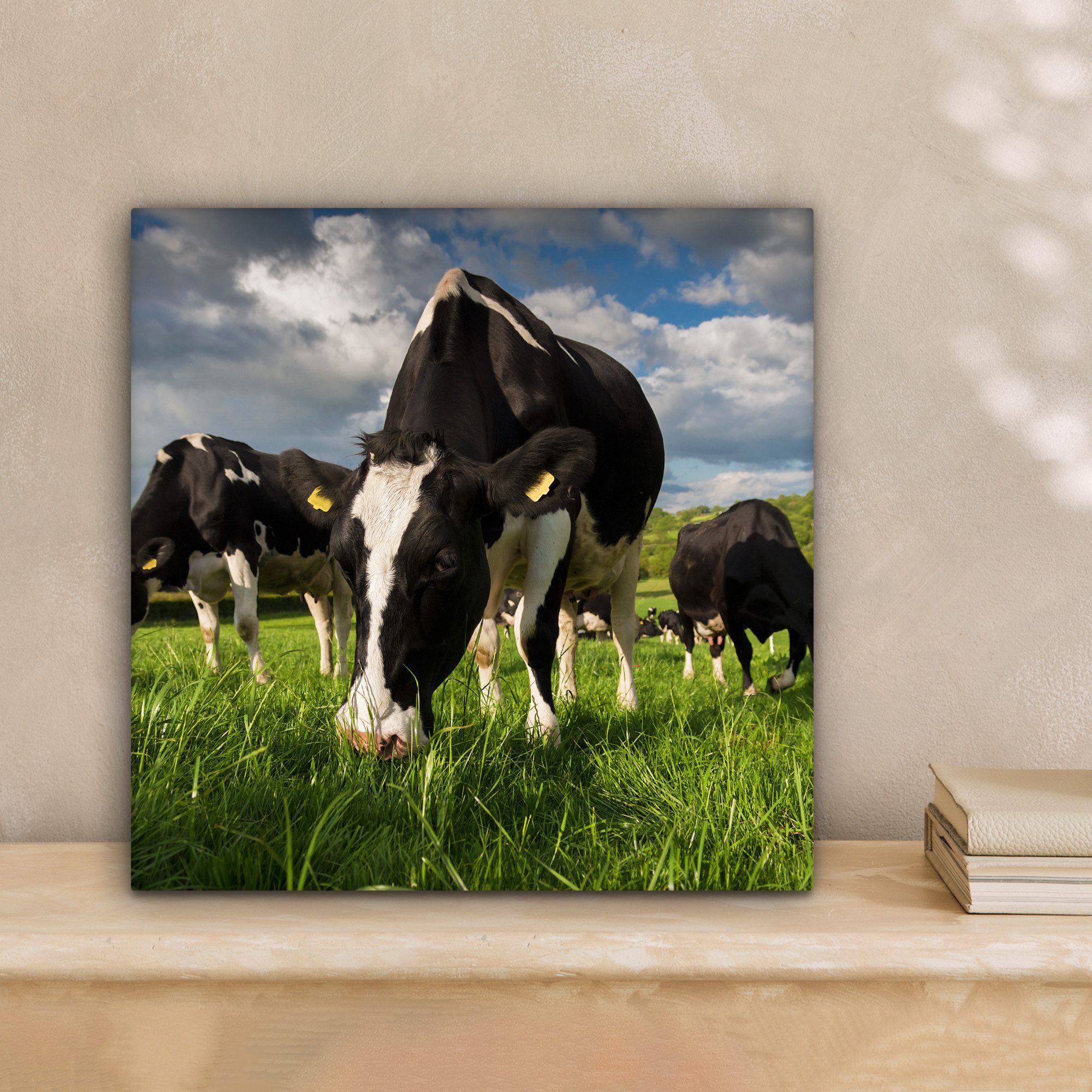 OneMillionCanvasses® Leinwandbild Kühe - Tiere - günstig online kaufen