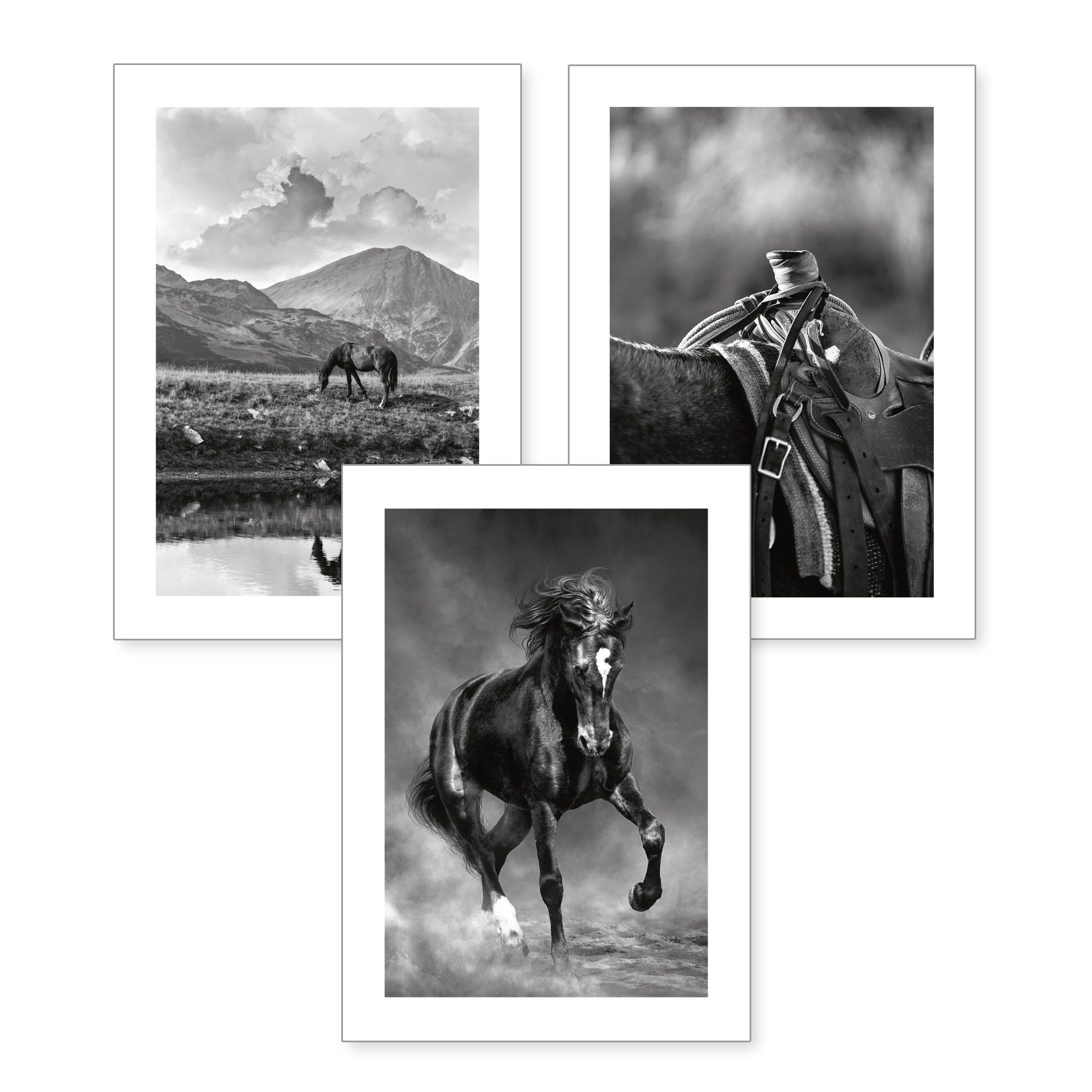 Kreative Feder Poster, Natur, Landschaft, Tier, Pferd, Reiten, Schwarz-Weiß, Fotografie (Set, 3 St), 3-teiliges Poster-Set, Kunstdruck, Wandbild, optional mit Rahmen, wahlw. in DIN A4 / A3, 3-WP104