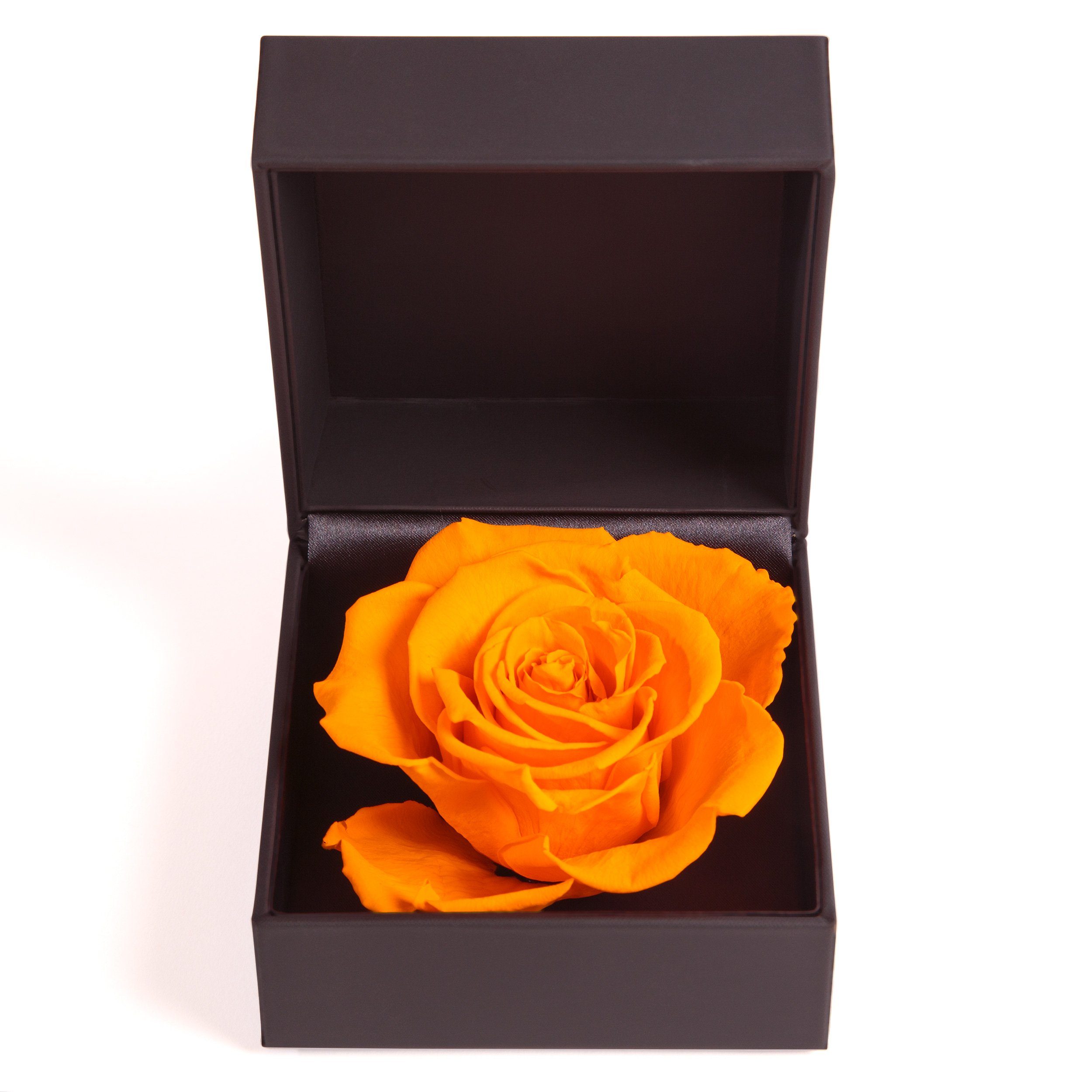 konserviert Gelb Box cm, in SCHULZ Rose Groß Ringdose ROSEMARIE Höhe Rose Heidelberg, Rosenbox Infinity Langlebige Ringbox Rose, Kunstblume 9