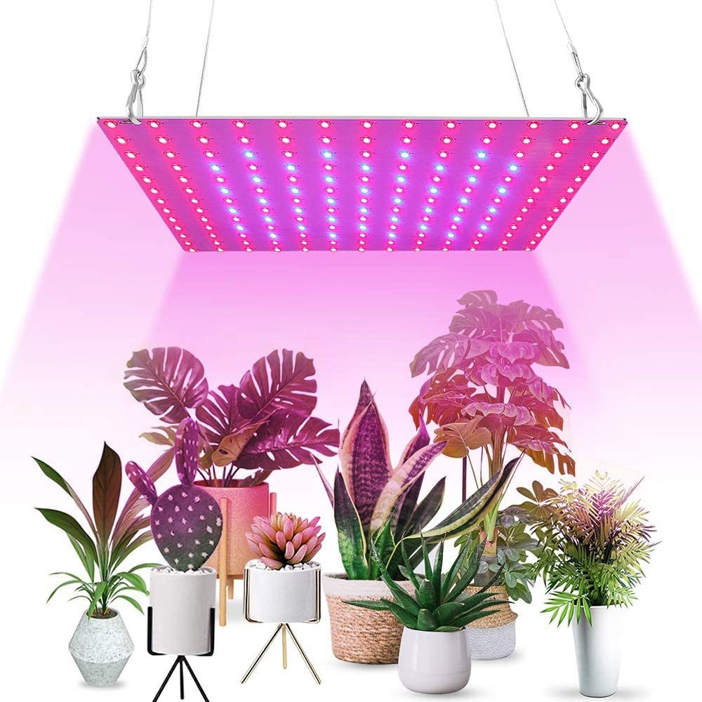 Rosnek Pflanzenlampe LED Grow Lampe für Pflanzen mit VEG BLOOM & 81–312 LEDs, Rot-blaues, LED fest integriert, Full Spectrum 25–80W für Winter, Anzucht & Blüte Indoor