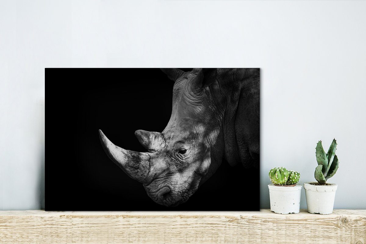 auf 30x20 Wanddeko, schwarzem (1 weißes cm Leinwandbilder, Schwarzes und Aufhängefertig, OneMillionCanvasses® Leinwandbild Hintergrund, Nashorn Wandbild St),