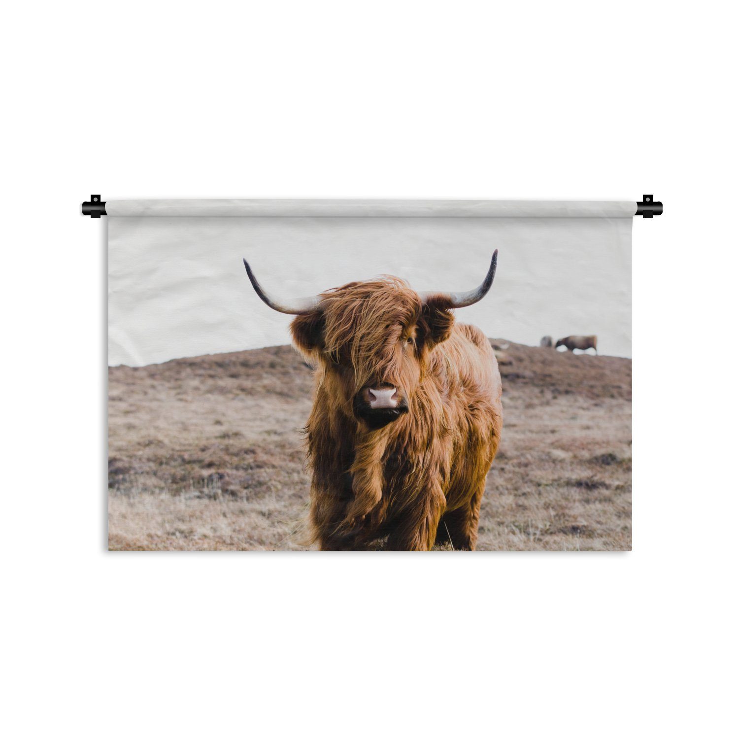MuchoWow Wanddekoobjekt Schottische Highlander - Landschaft - Kuh - Braun - Tiere - Natur, Wanddeko für Wohnzimmer, Schlafzimmer, Kleid, Wandbehang, Kinderzimmer