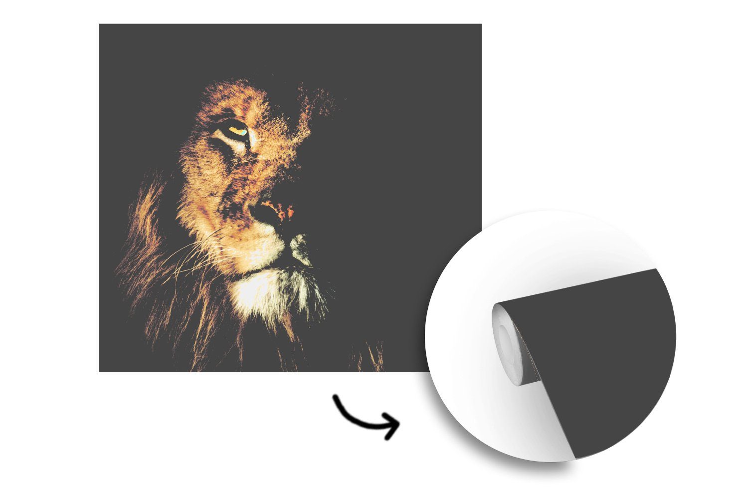 (5 Tier Fototapete für Schlafzimmer, oder - Matt, Schwarz, Löwe Wohnzimmer Tapete bedruckt, St), - MuchoWow Vinyl Wandtapete