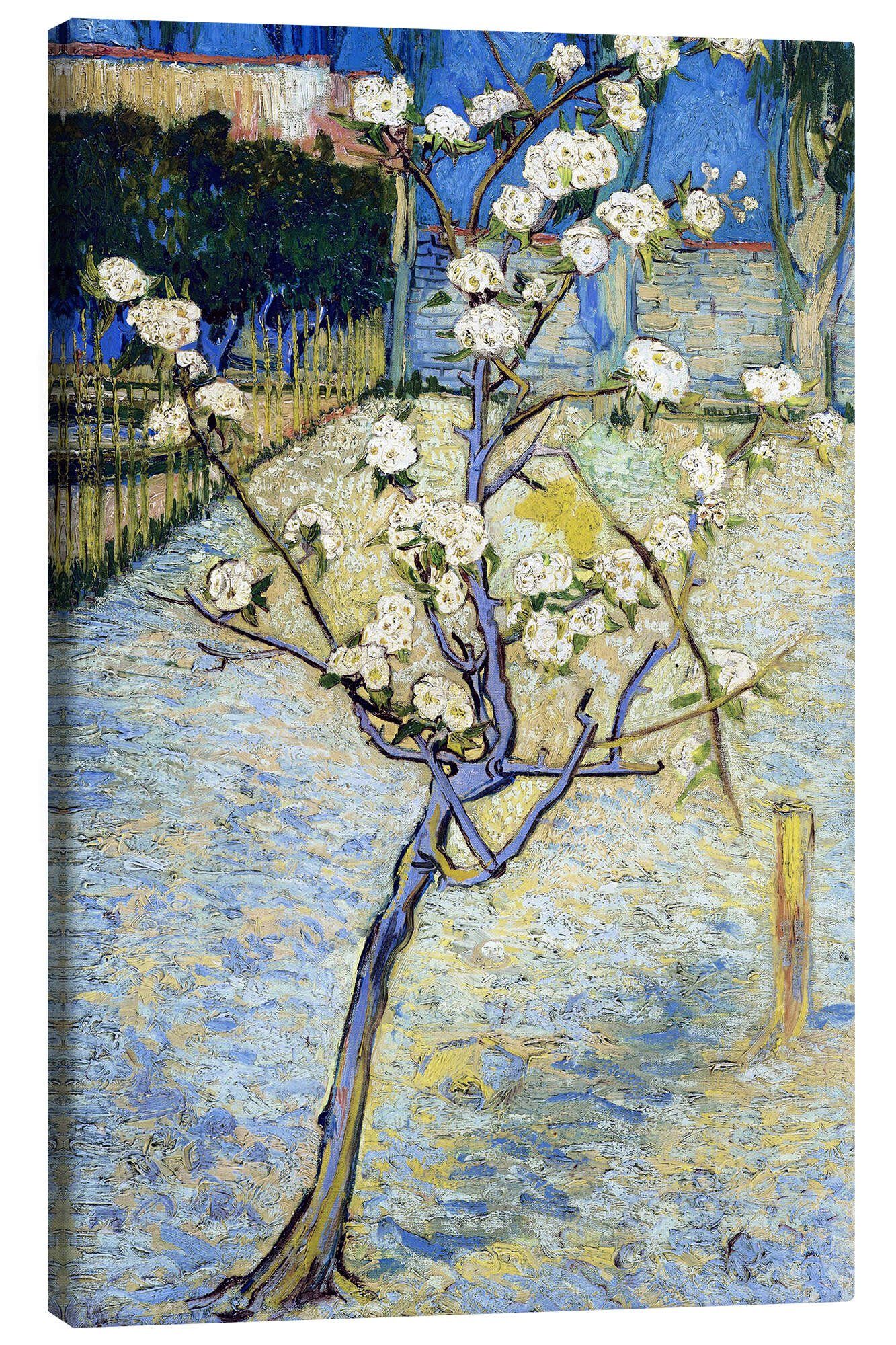 Leinwandbild Vincent van Gogh