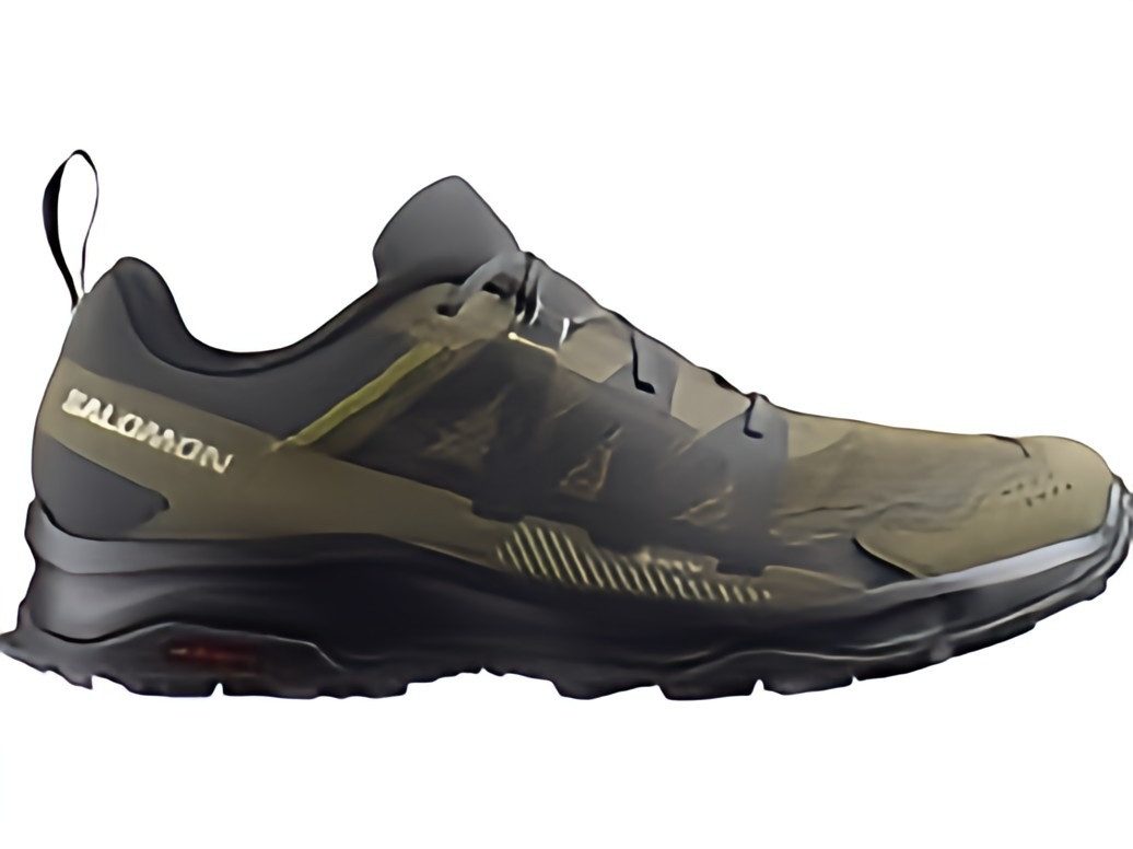 Salomon Ardent GTX für Herren Outdoorschuh günstig online kaufen
