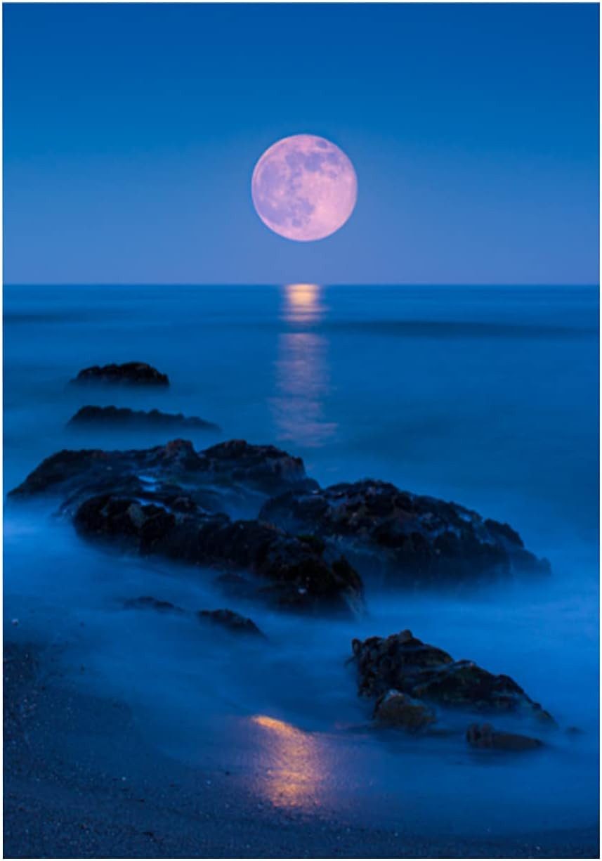 LA CUTE Malen nach Zahlen Sandstrand Küste Abendmond - 5D Diamond Painting günstig online kaufen