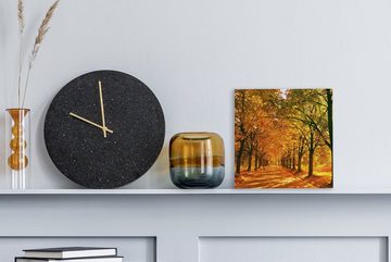OneMillionCanvasses® Leinwandbild Wald - Herbst - Jahreszeiten - Ländlich, (1 St), Leinwand Bilder für Wohnzimmer Schlafzimmer