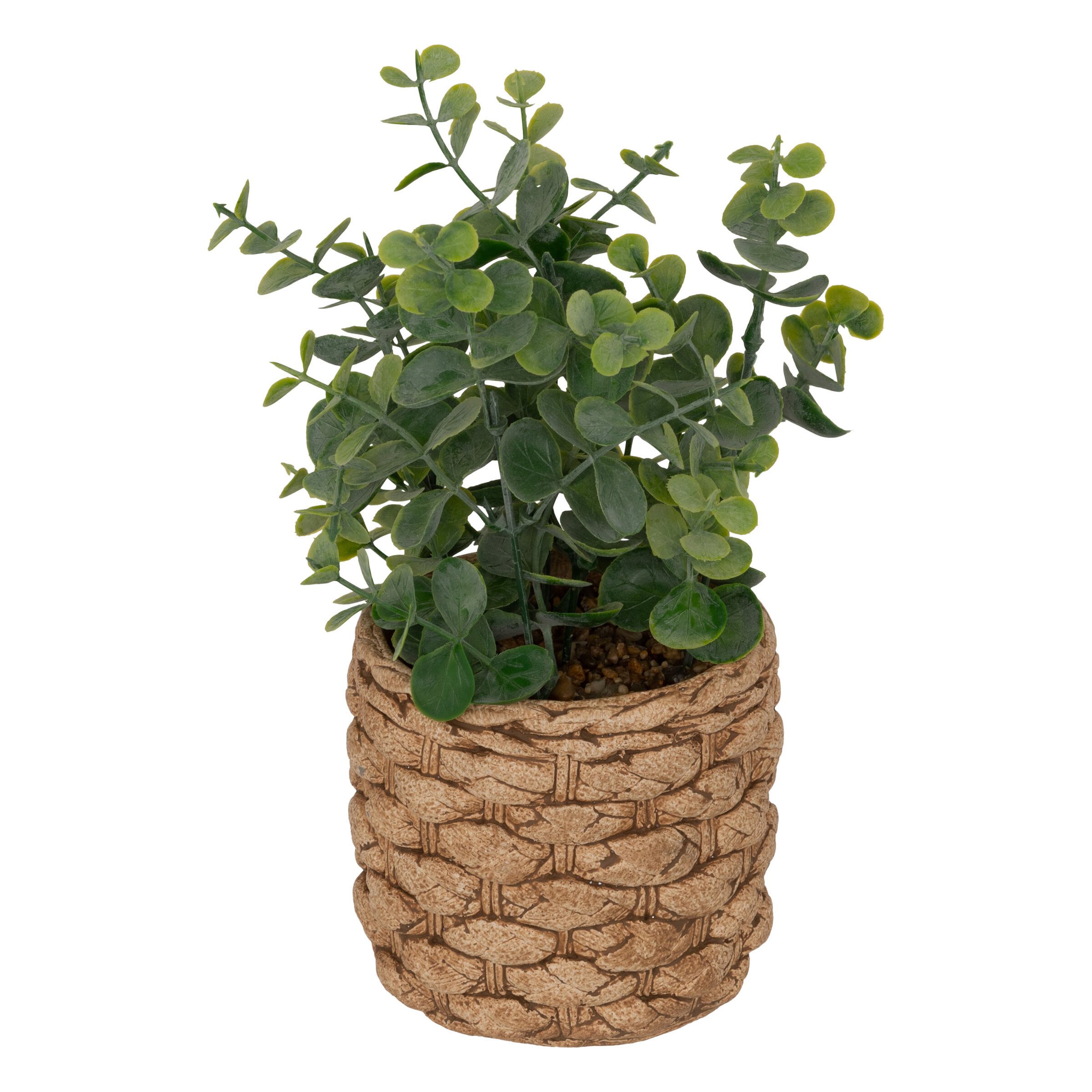 Kunstpflanze Künstlicher Eukalyptus JAYE im Keramiktopf, H. 27 cm Zimmerpflanze, Atmosphera Créateur d'intérieur, Höhe 27 cm