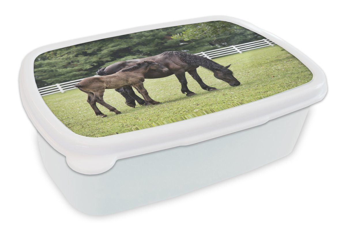 MuchoWow Lunchbox Pferde - Gras - Baum, Kunststoff, (2-tlg), Brotbox für Kinder und Erwachsene, Brotdose, für Jungs und Mädchen weiß