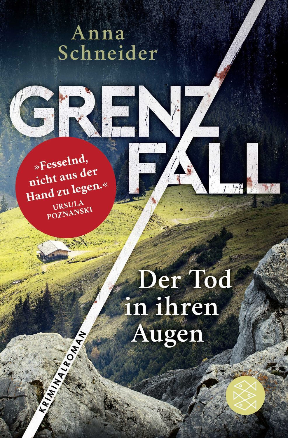 Grenzfall - Der Tod in ihren Augen / Anna Schneider