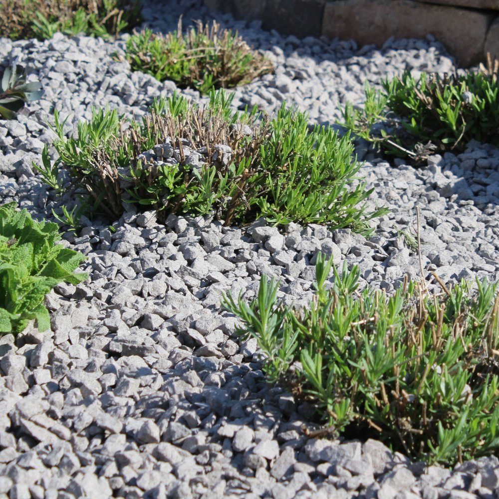 CM-Gartendesign Lavasteine Lavamulch, (8/16mm, anthrazit), 5kg