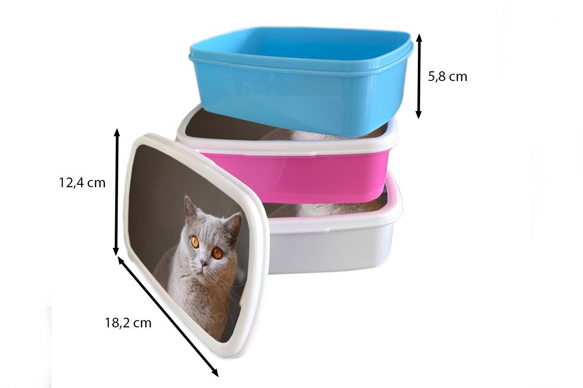 MuchoWow Lunchbox Katze - (2-tlg), Mädchen, - Augen, für Brotbox Brotdose Kunststoff Snackbox, Kinder, Tiere Kunststoff, rosa Erwachsene