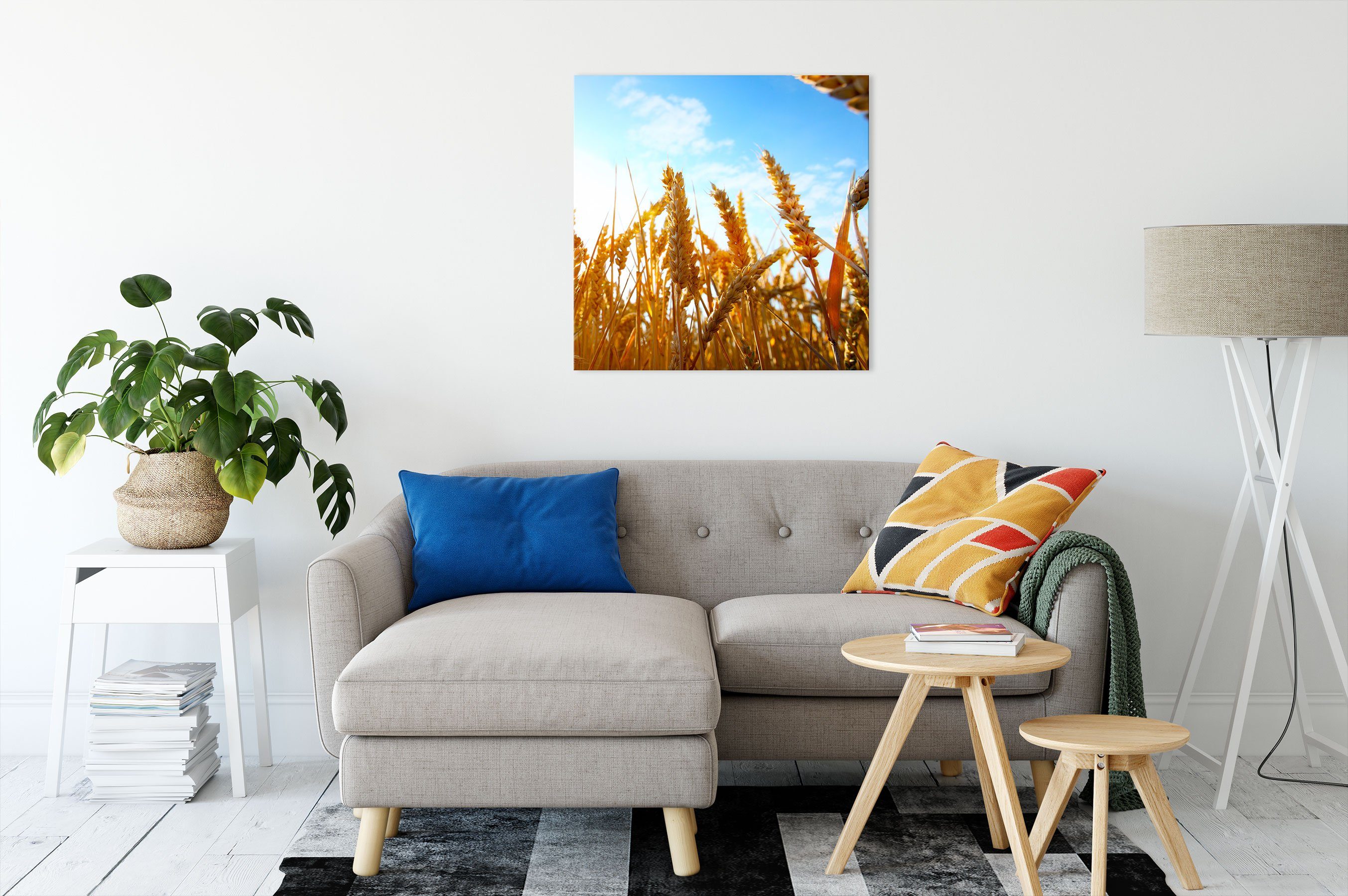 Pixxprint Leinwandbild Getreide im Sonnenschein, fertig Leinwandbild Sonnenschein Getreide Zackenaufhänger inkl. im bespannt, St), (1