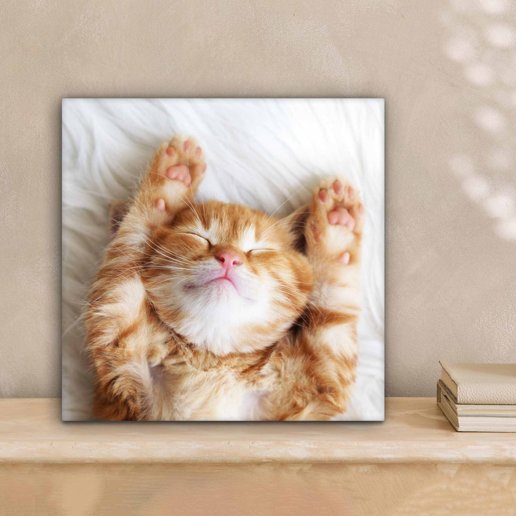 OneMillionCanvasses® Leinwandbild Katze - Rot - günstig online kaufen