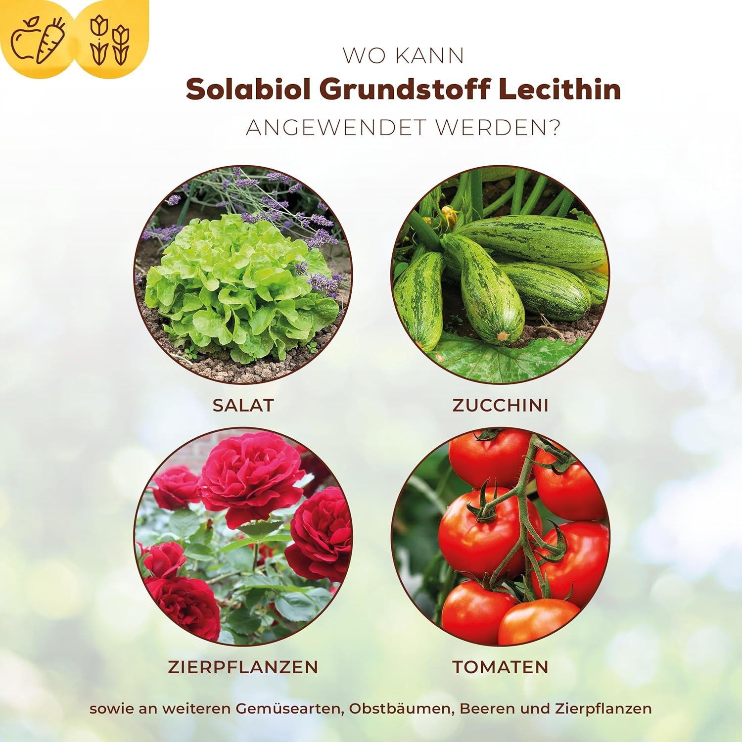 Solabiol Pflanzen-Pilzfrei Solabiol Grundstoff Lecithin 800 ml Konzentrat