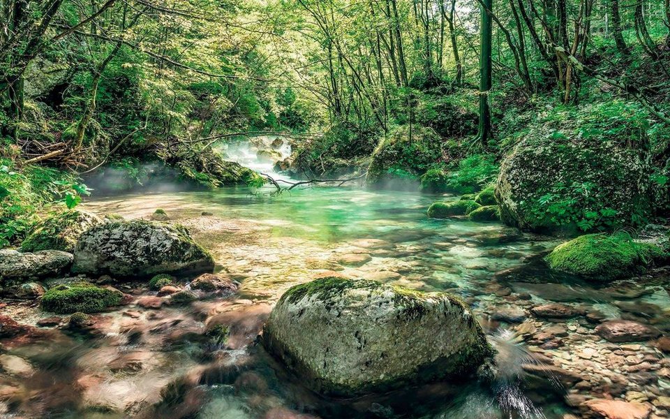 Komar Vliestapete Tranquil Pool, (1 St), 400x250 cm (Breite x Höhe),  Vliestapete, 100 cm Bahnbreite