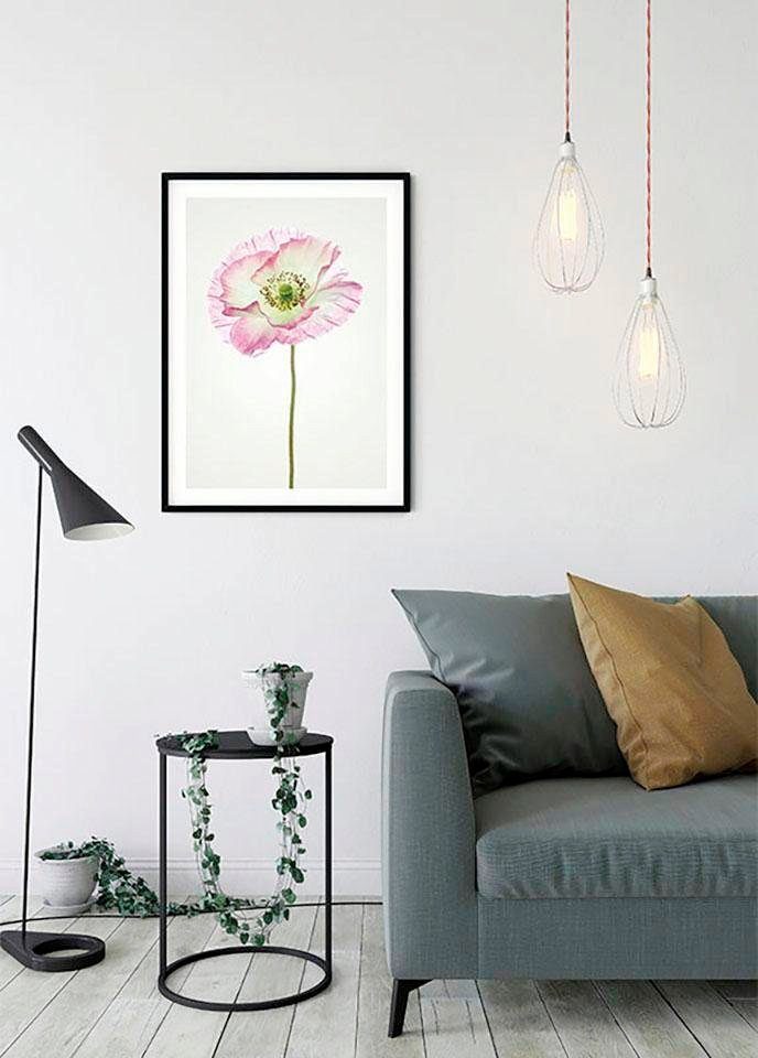 St), Poster Wohnzimmer (1 Komar Blumen Kinderzimmer, Poppy, Schlafzimmer,