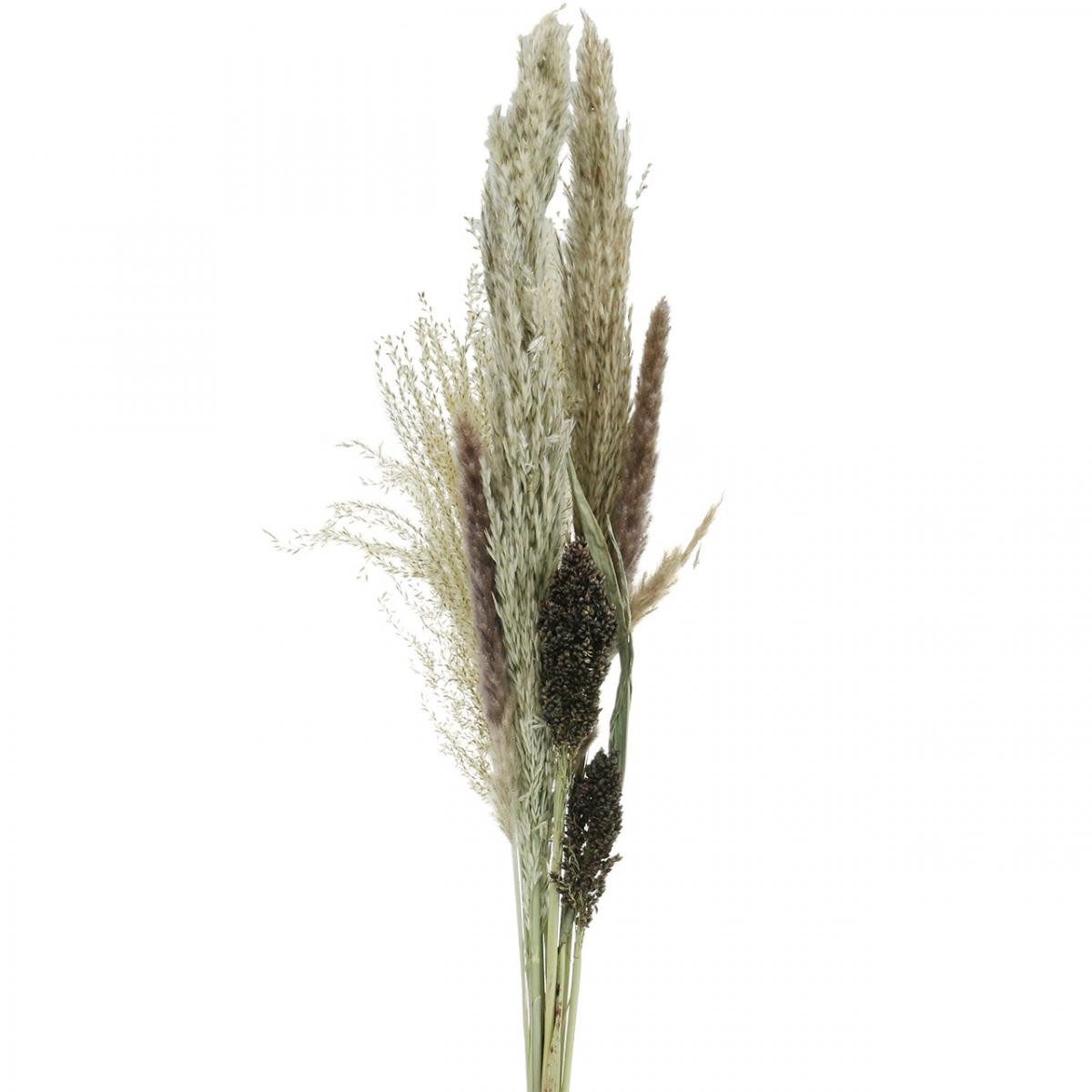 Trockenblume Naturgetreues Trockenblumen Set - Dekorative Getrocknete, Kaemingk, Höhe 70 cm