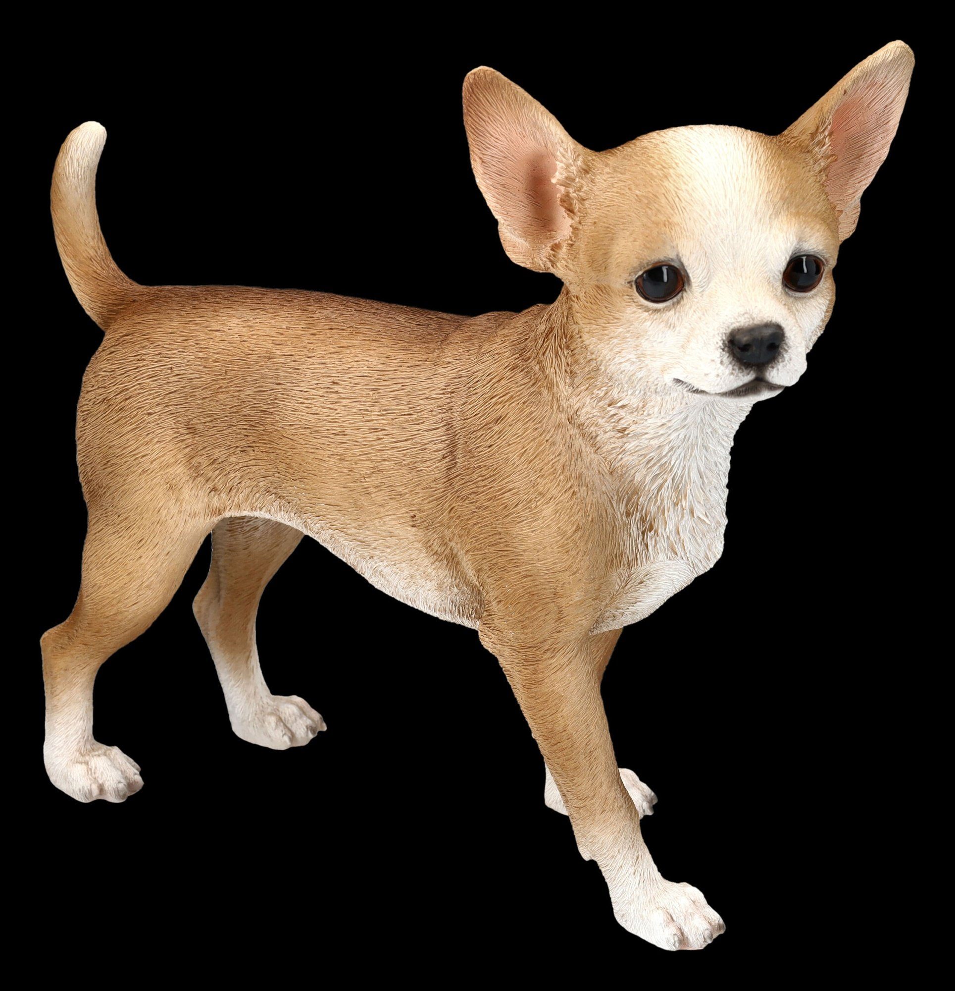 Figuren Shop GmbH Tierfigur Chihuahua Figur - Tierdeko Hunde Dekofigur | Dekofiguren