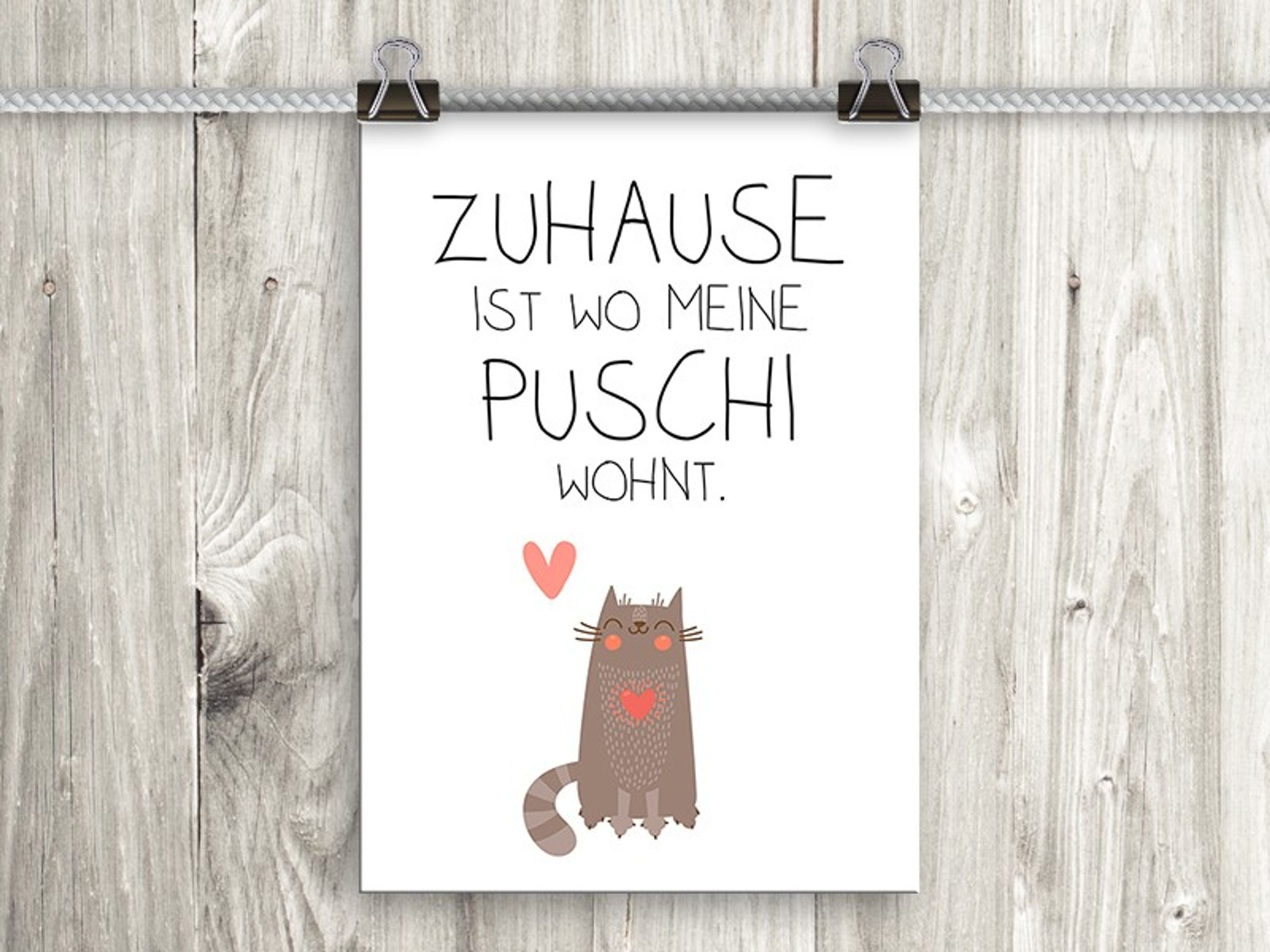 Sprüche Katze Poster Spruch Zitate artissimo Bild mit Poster Wandbild DinA4 Katze Text witzige Zuhause, und Sprüche: