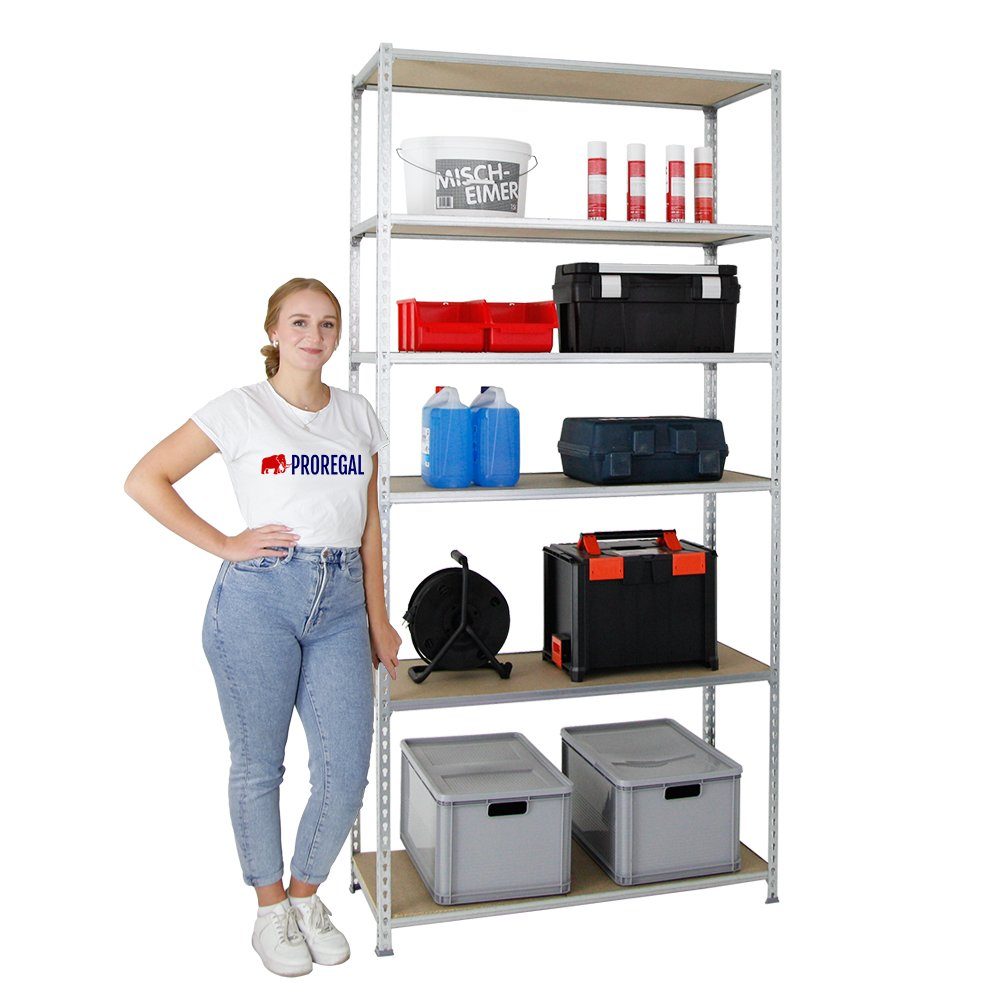 PROREGAL® Schwerlastregal GIANT MULI 250x80x30cm 6 günstig online kaufen