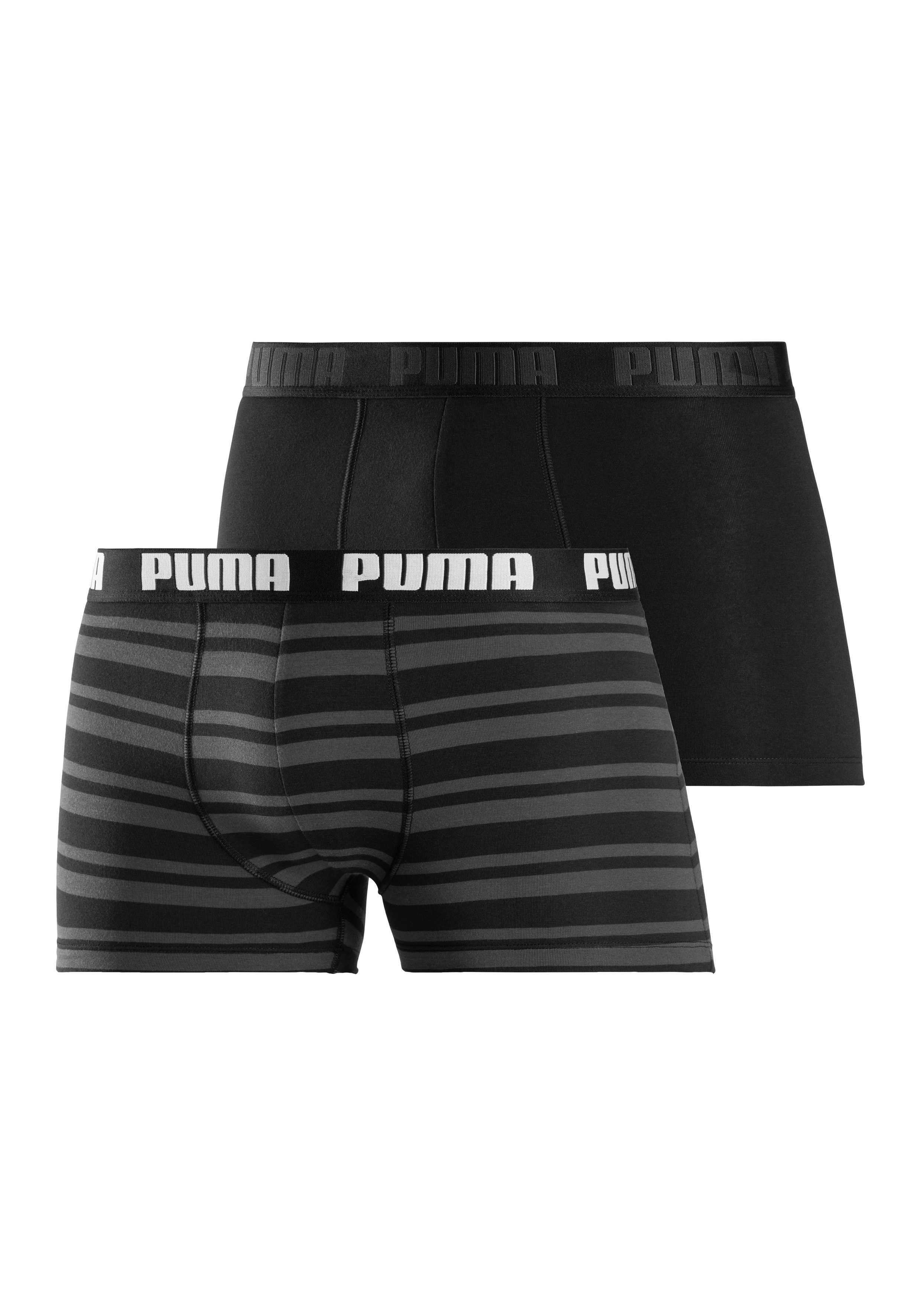 Boxer