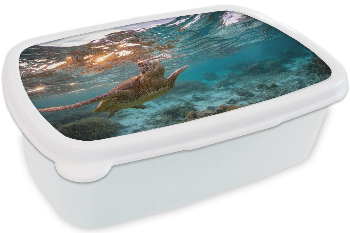 Lunchbox Meer (2-tlg), Mädchen Erwachsene, Brotbox für und Kunststoff, MuchoWow und Farben, Schildkröte Kinder Brotdose, - Jungs - für weiß